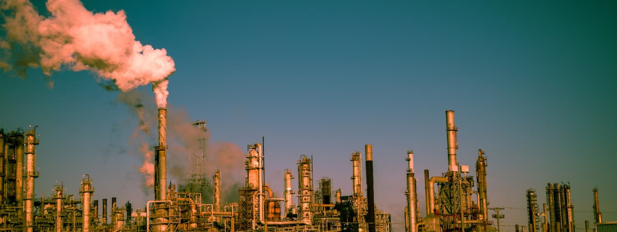 Newsletter images.jpeg