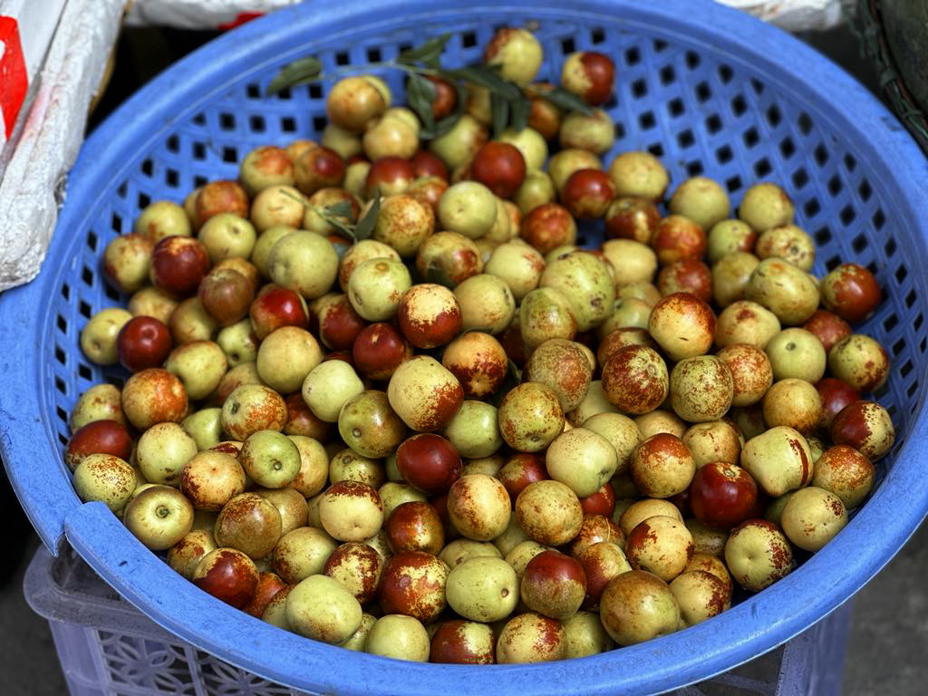 hong tao 1.jpg