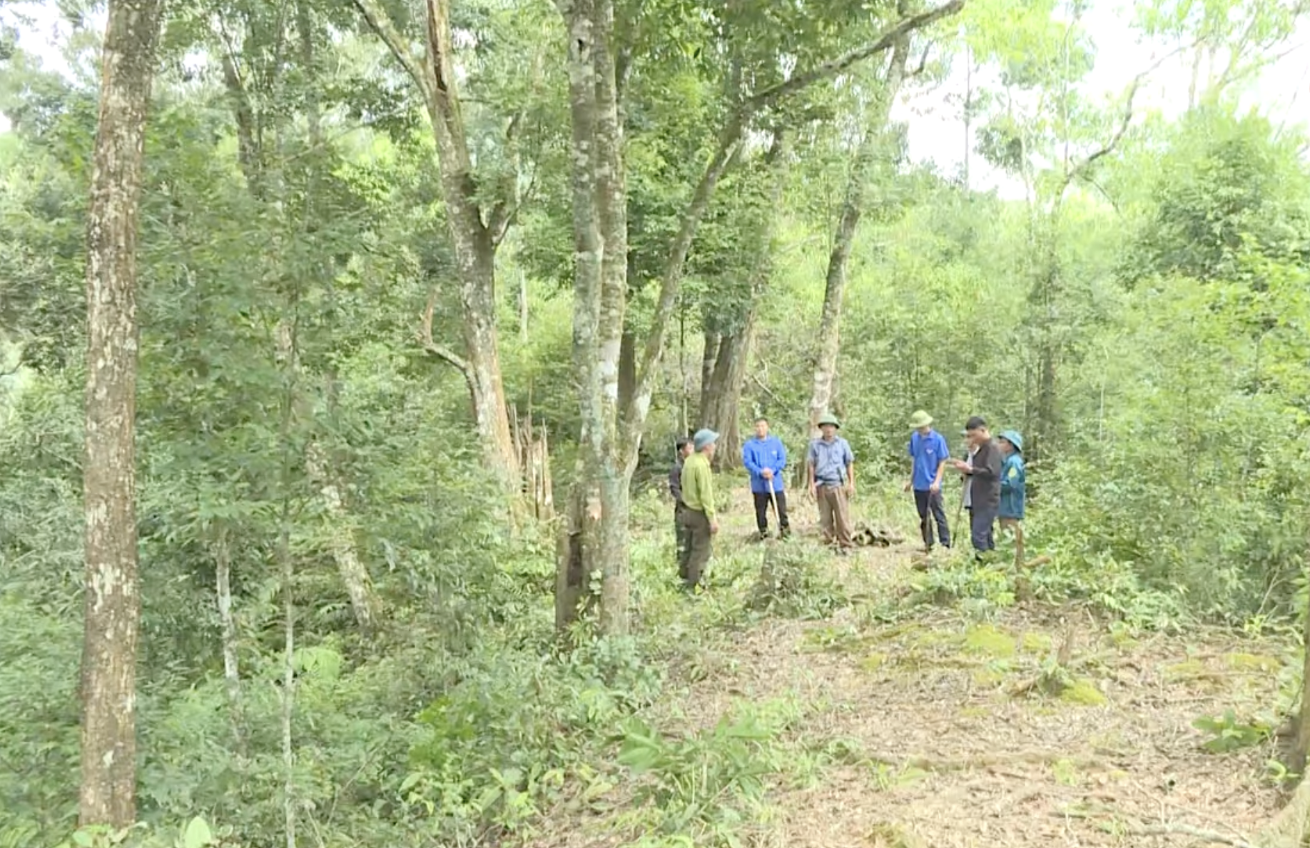 Tập huấn sử dụng công cụ SMART