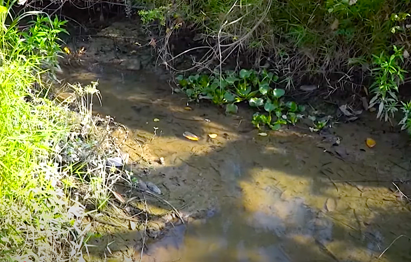 Áp dụng quản trị nước thông minh, góp phần đảm bảo an ninh nguồn nước