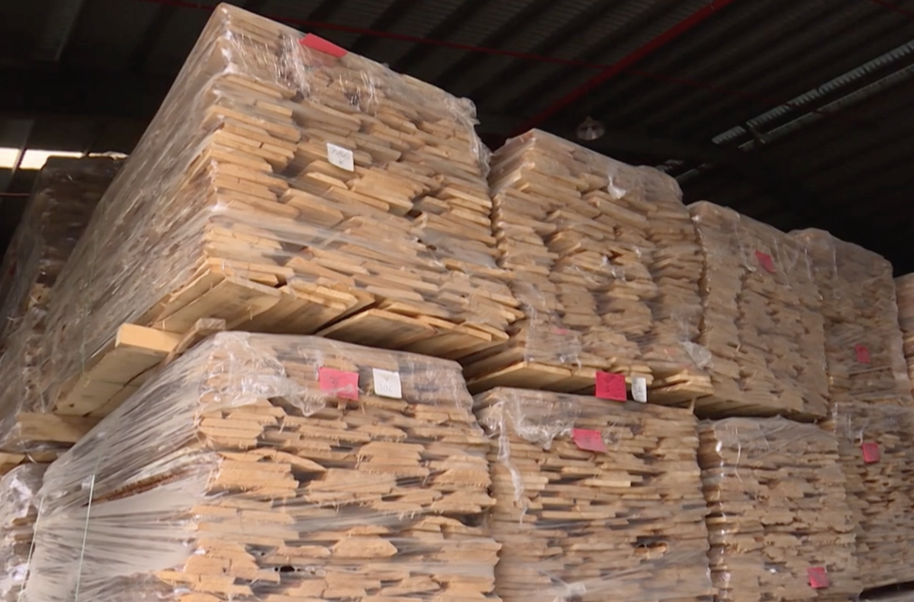 Kỹ thuật xác định loại gỗ bằng công nghệ quang phổ khối lượng tại Việt Nam