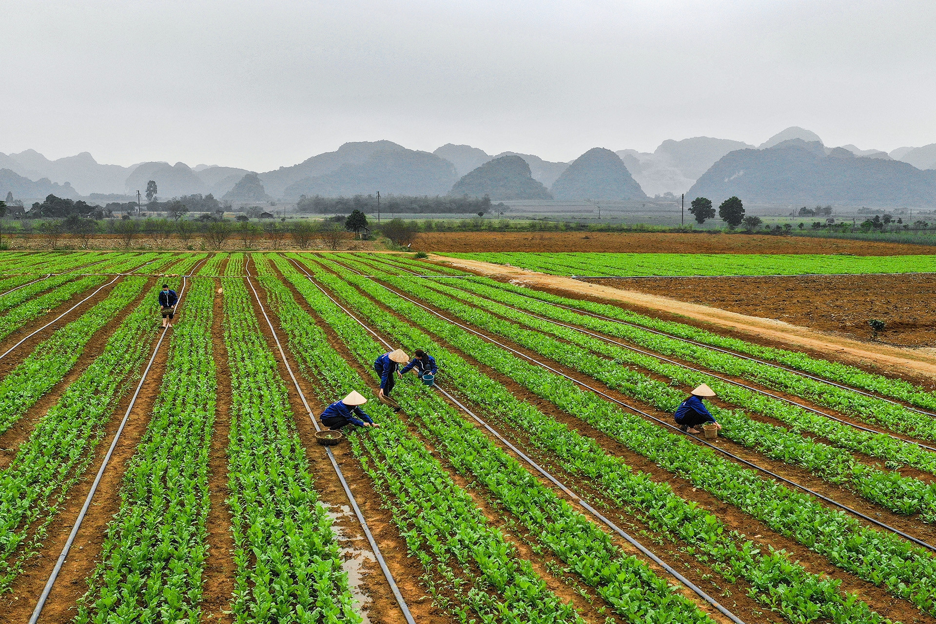 Ninh Bình thu 951 tỷ từ 2 phiên đấu giá đất, sắp đấu thêm hàng trăm thửa