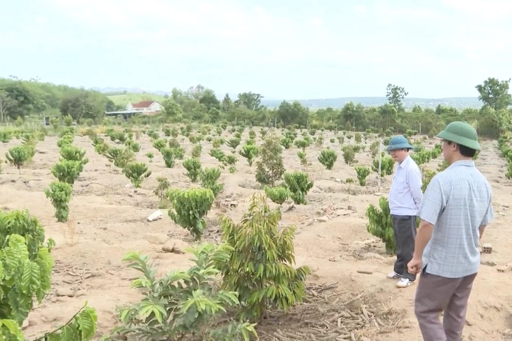 Thúc đẩy giải pháp toán học ứng dụng trong một số ngành, lĩnh vực trọng điểm