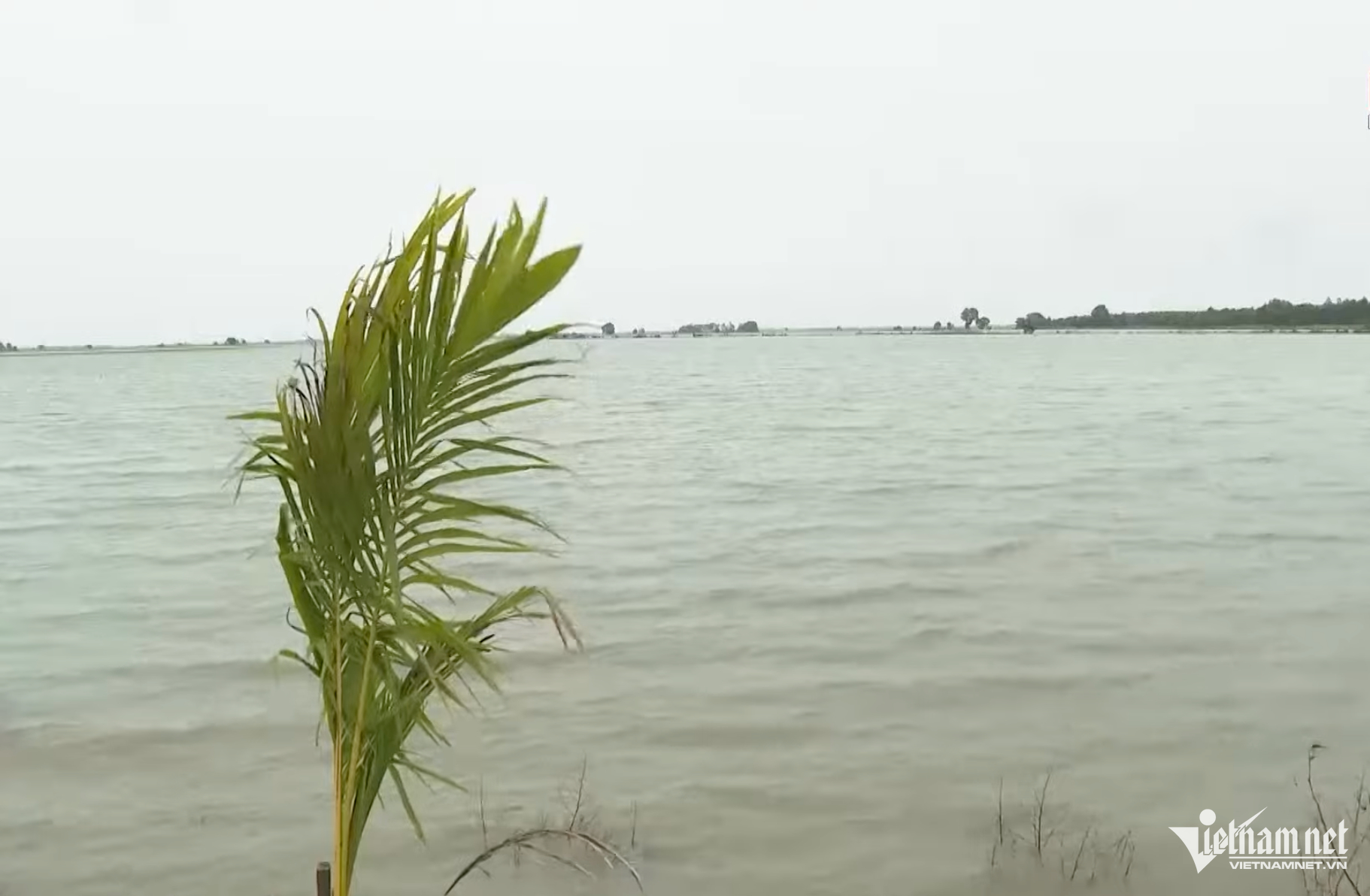 W-Ảnh màn hình 2025 01 12 lúc 15.50.54.png