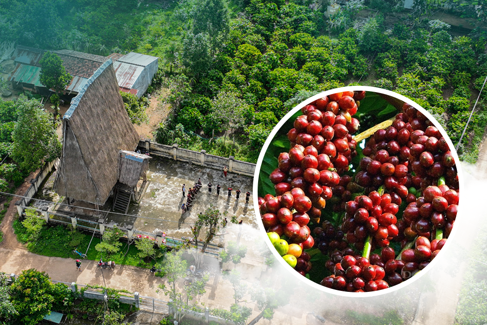 'Đánh thức' Tây Nguyên với những giá trị mới