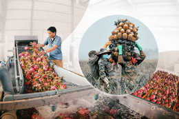 Triển khai thực hiện 3 Chương trình mục tiêu quốc gia: Quyết tâm hành động, tránh đầu tư dàn trải
