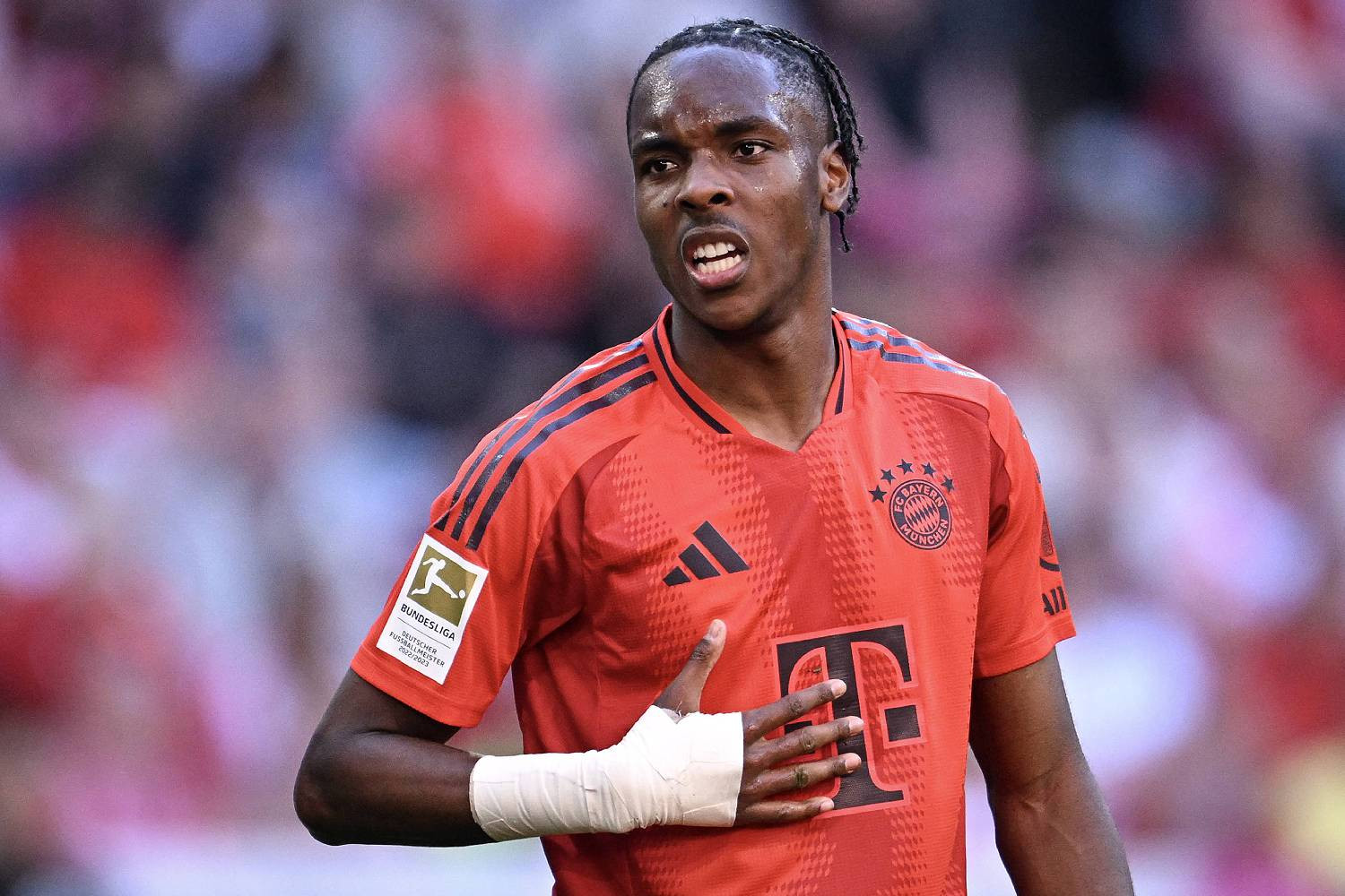 Imago. Mathys Tel.jpg