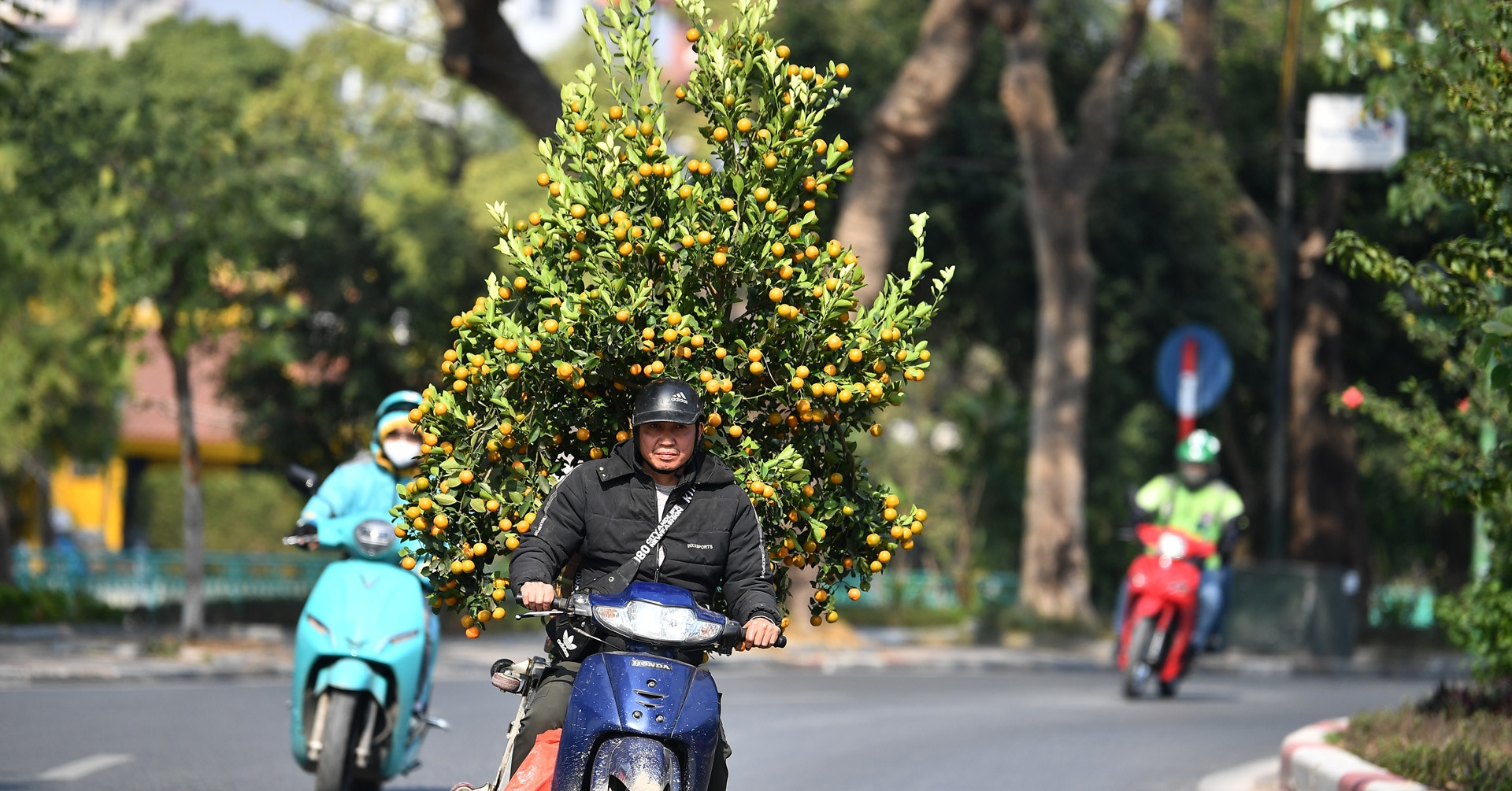 Dự báo thời tiết ngày mai 17/1/2025: Không khí lạnh ảnh hưởng khắp Bắc Bộ