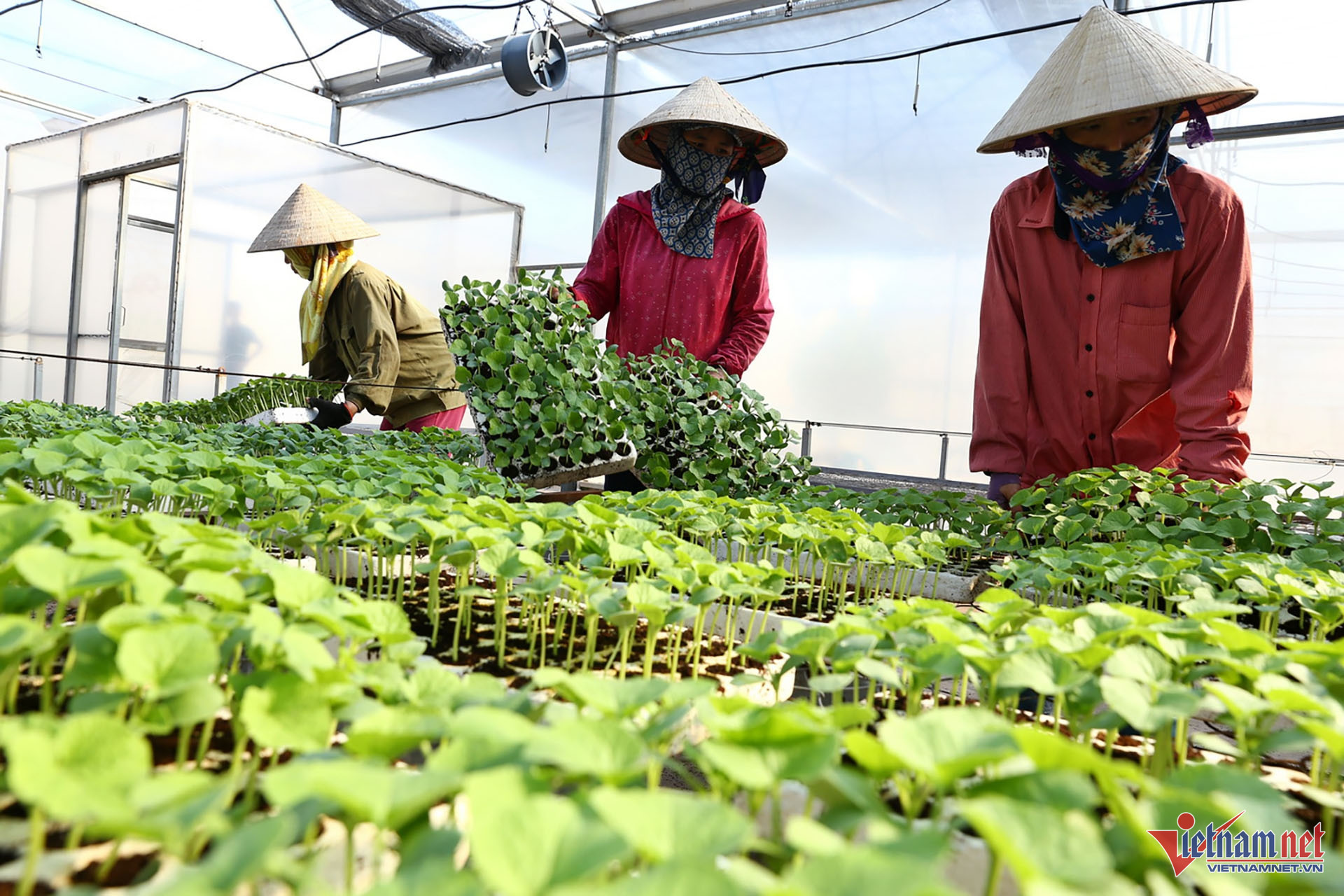 W-Nong Nghiep CNC 02.jpg