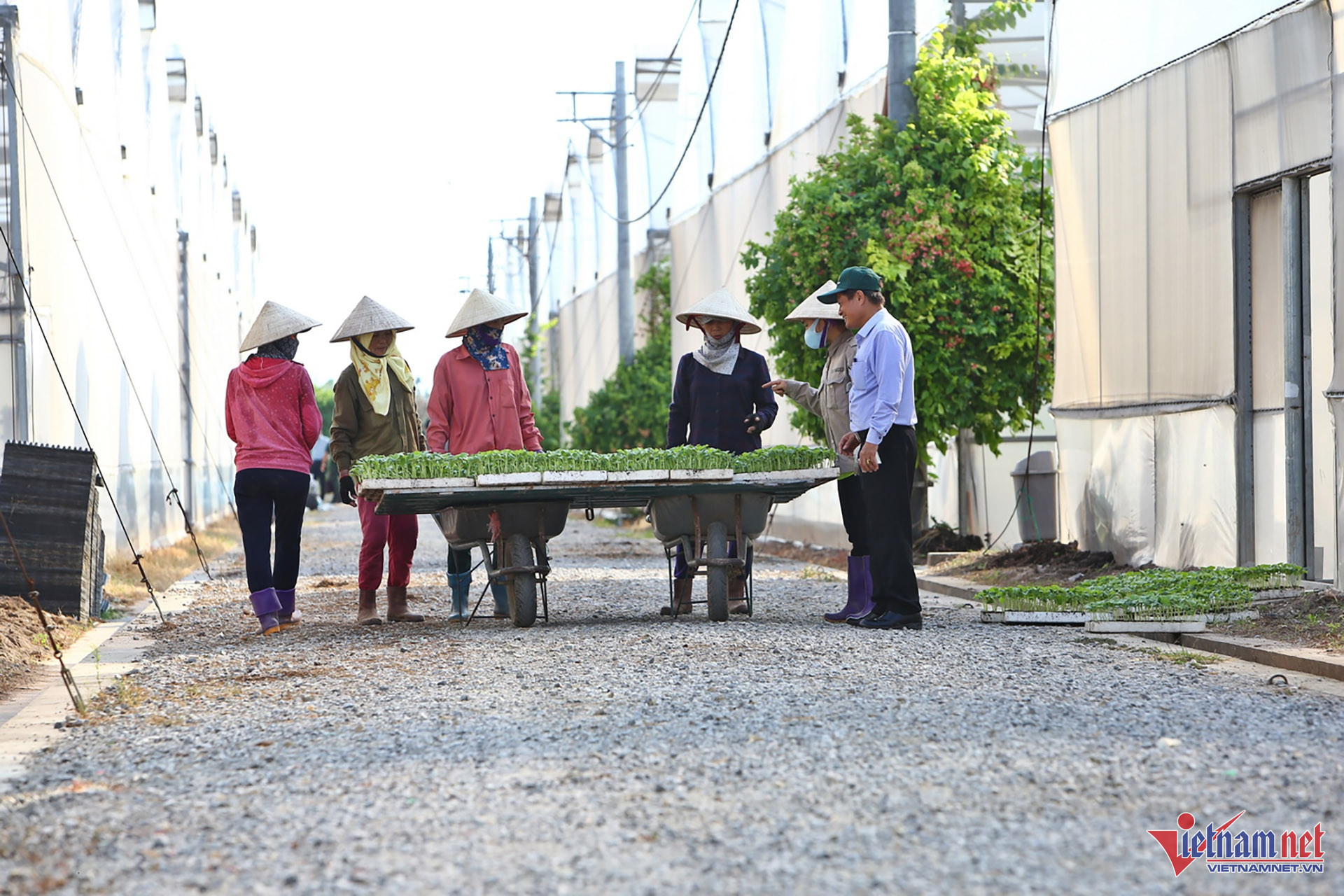 W-Nong Nghiep CNC 03.jpg