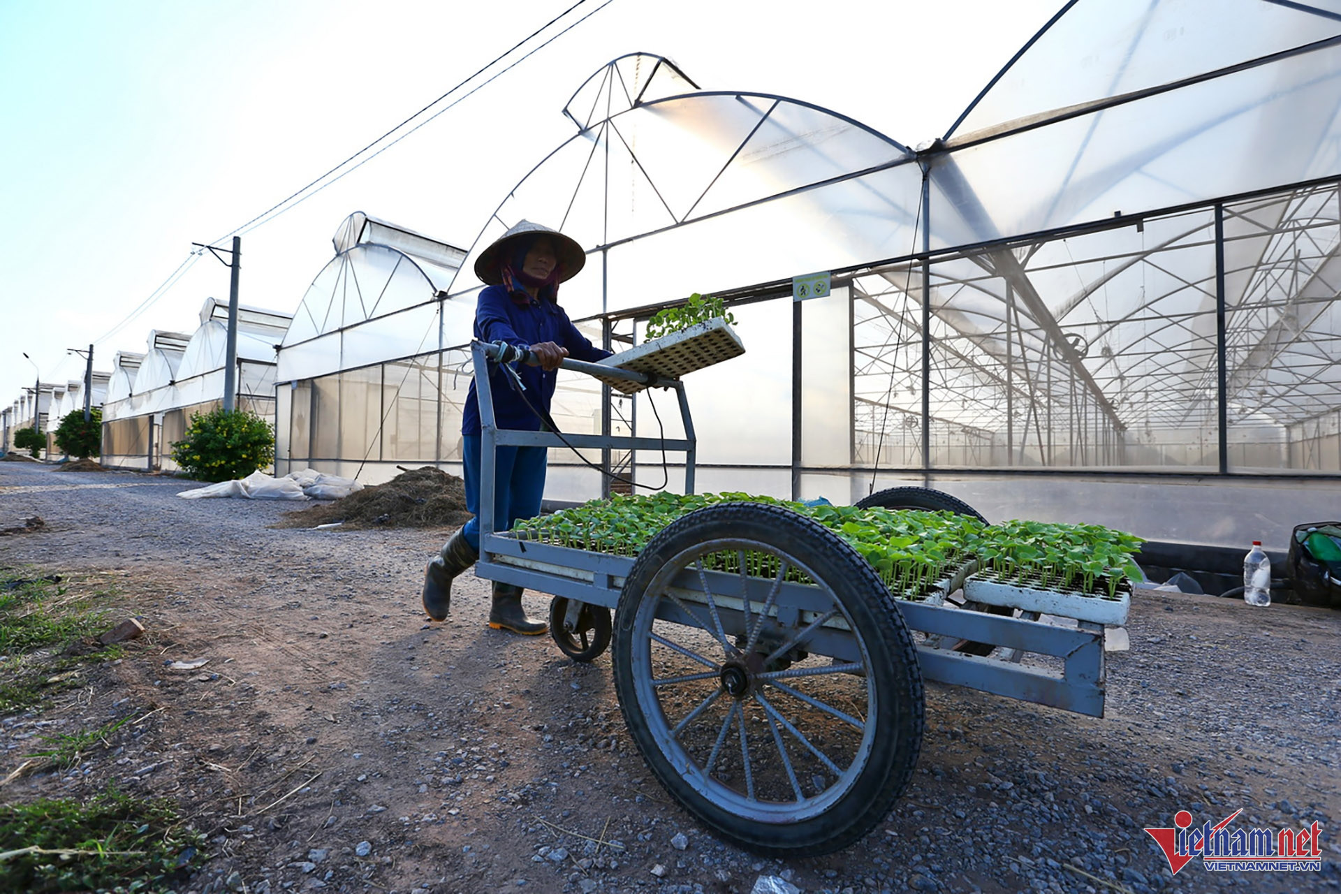 W-Nong Nghiep CNC 07.jpg