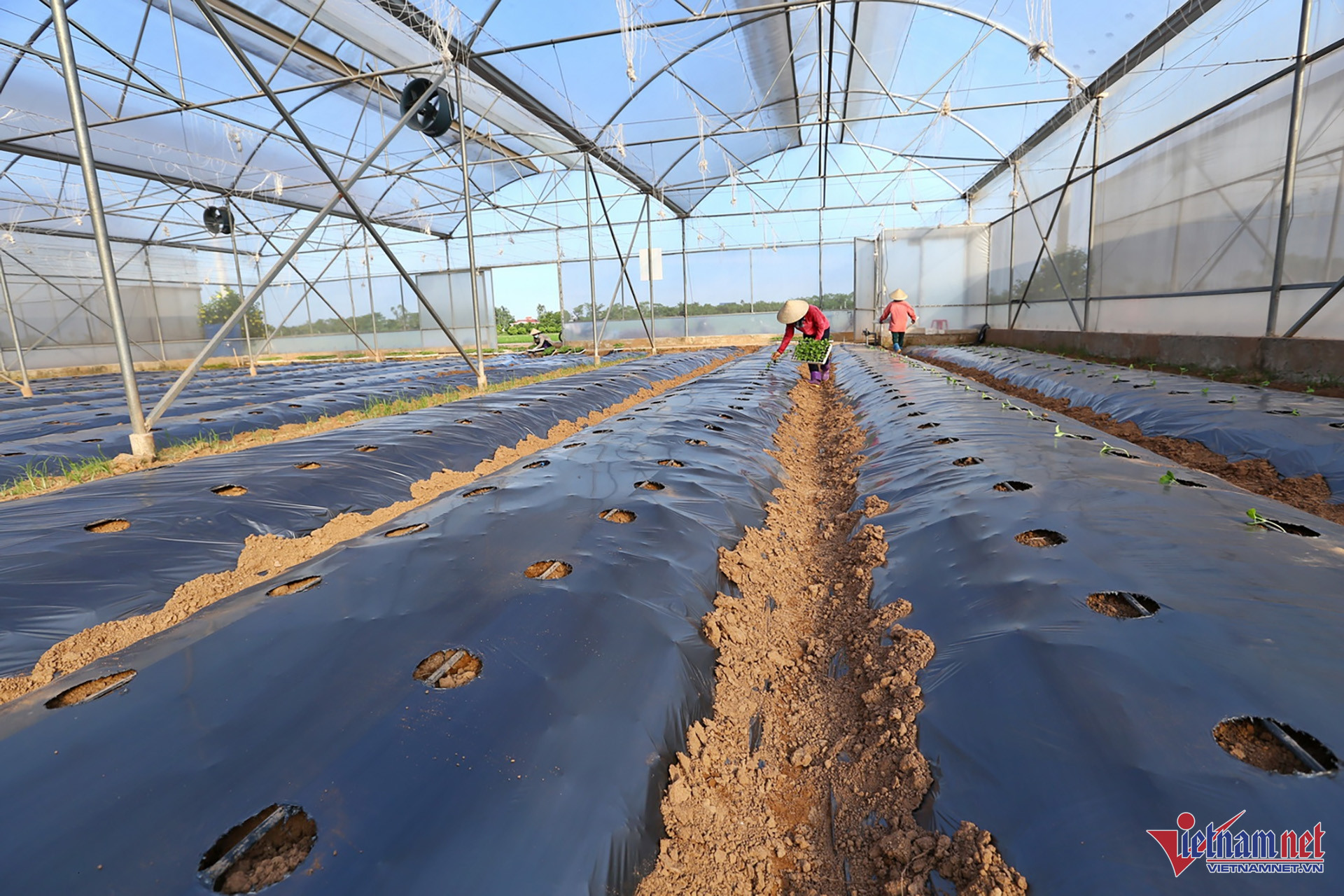 W-Nong Nghiep CNC 10.jpg