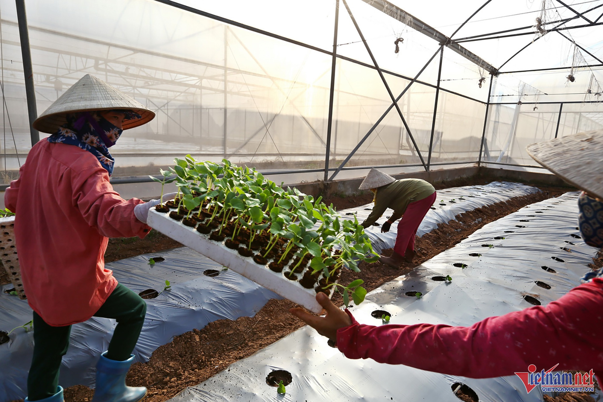 W-Nong Nghiep CNC 11.jpg