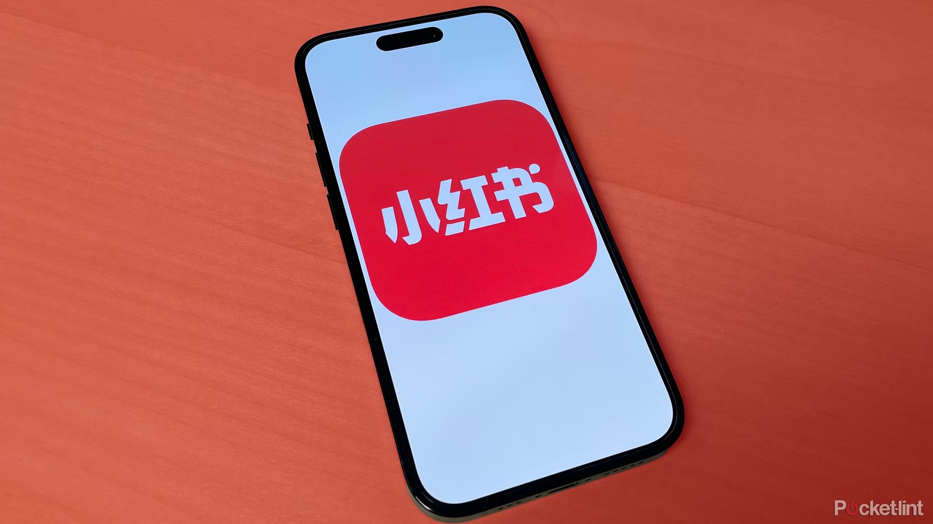 xiaohongshu pocketlint