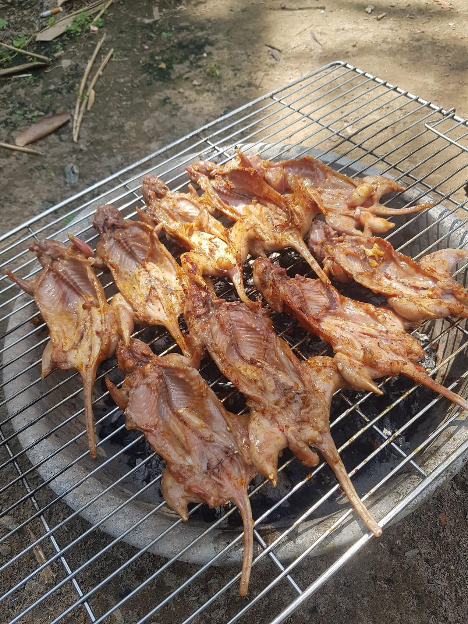 Kỹ Thuật Đà Năng