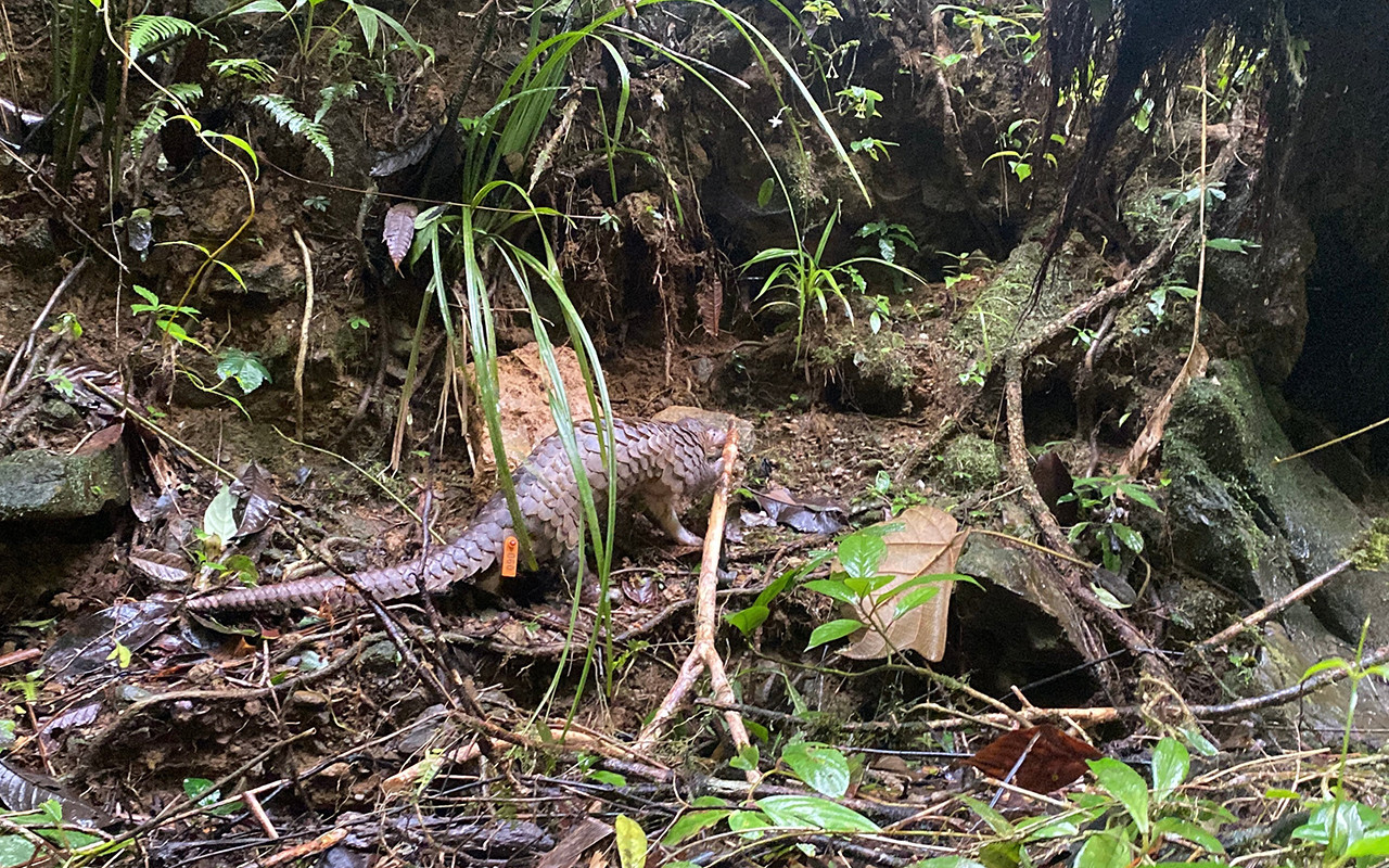 b8a6f304 23fd 4bc8 a72b 820bcbe7a2a0.jpg