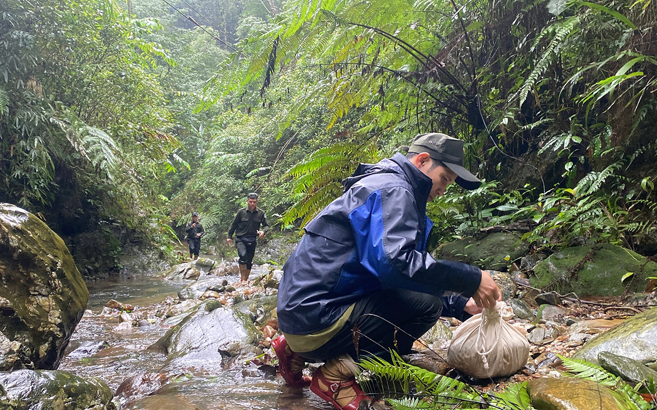 bebcde2d 5233 4b23 a208 080b400f5d34.jpg