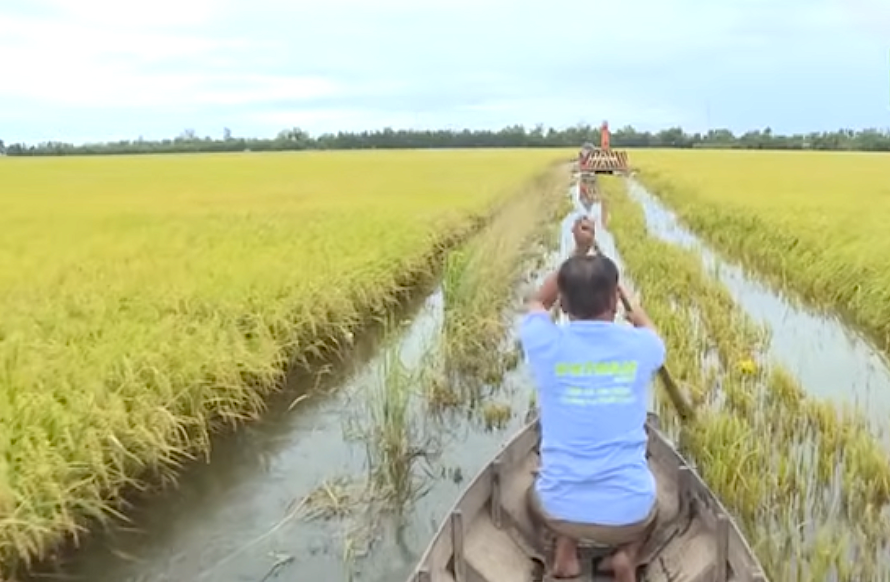 VNPT kỳ vọng có thể xây dựng nên nền tảng cốt lõi hệ sinh thái nông nghiệp số