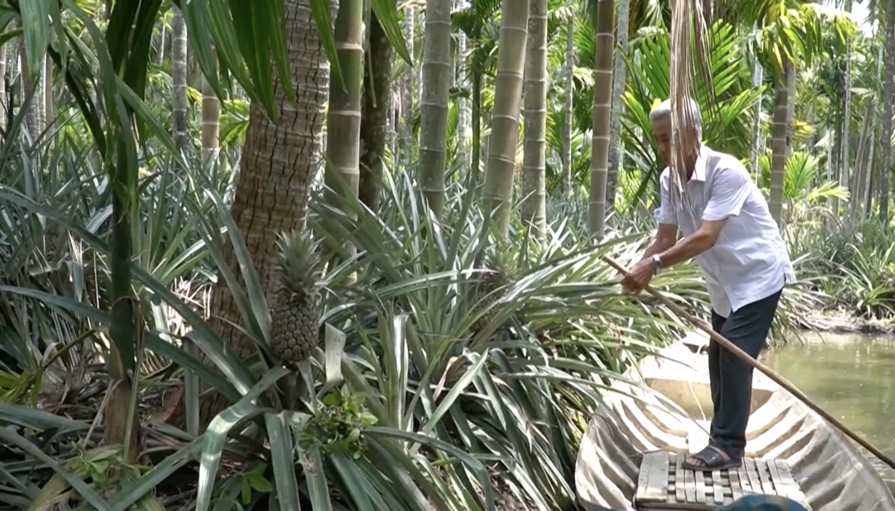 VNPT Technology tiên phong nghiên cứu, ứng dụng công nghệ IoT trong nông nghiệp