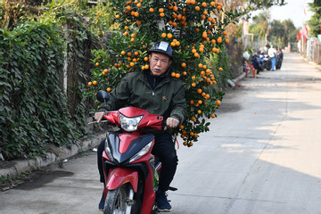 Dự báo thời tiết 21/1/2025: Miền Bắc giá rét, miền Nam có mưa rào