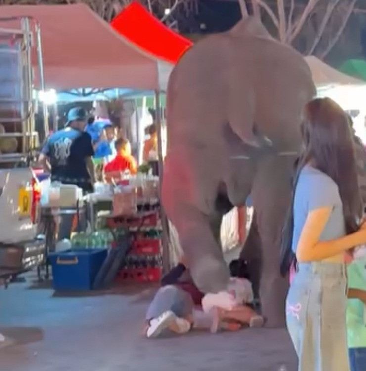 ezgif.com webp to jpg converter.jpg