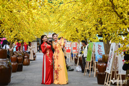 w tet nguyen hue 12 62325.jpg