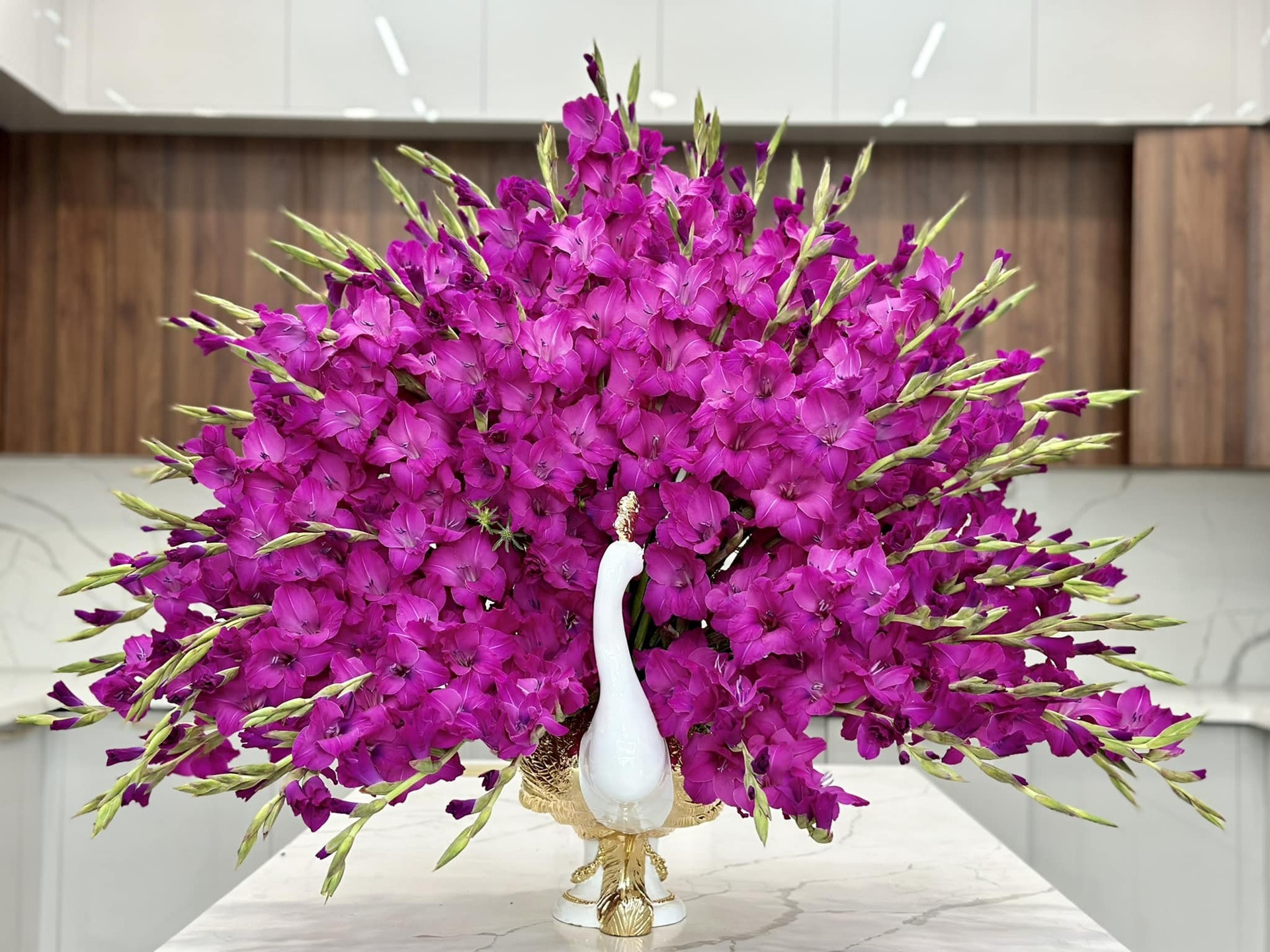 HoaLayon anh quynhlien.jpg