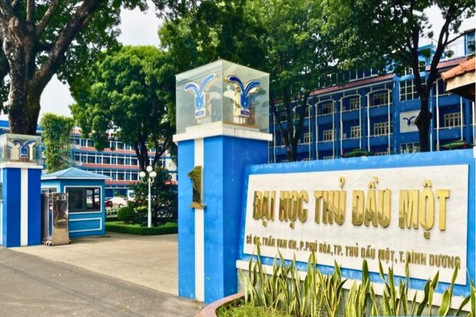 daihocthudaumot.jpg