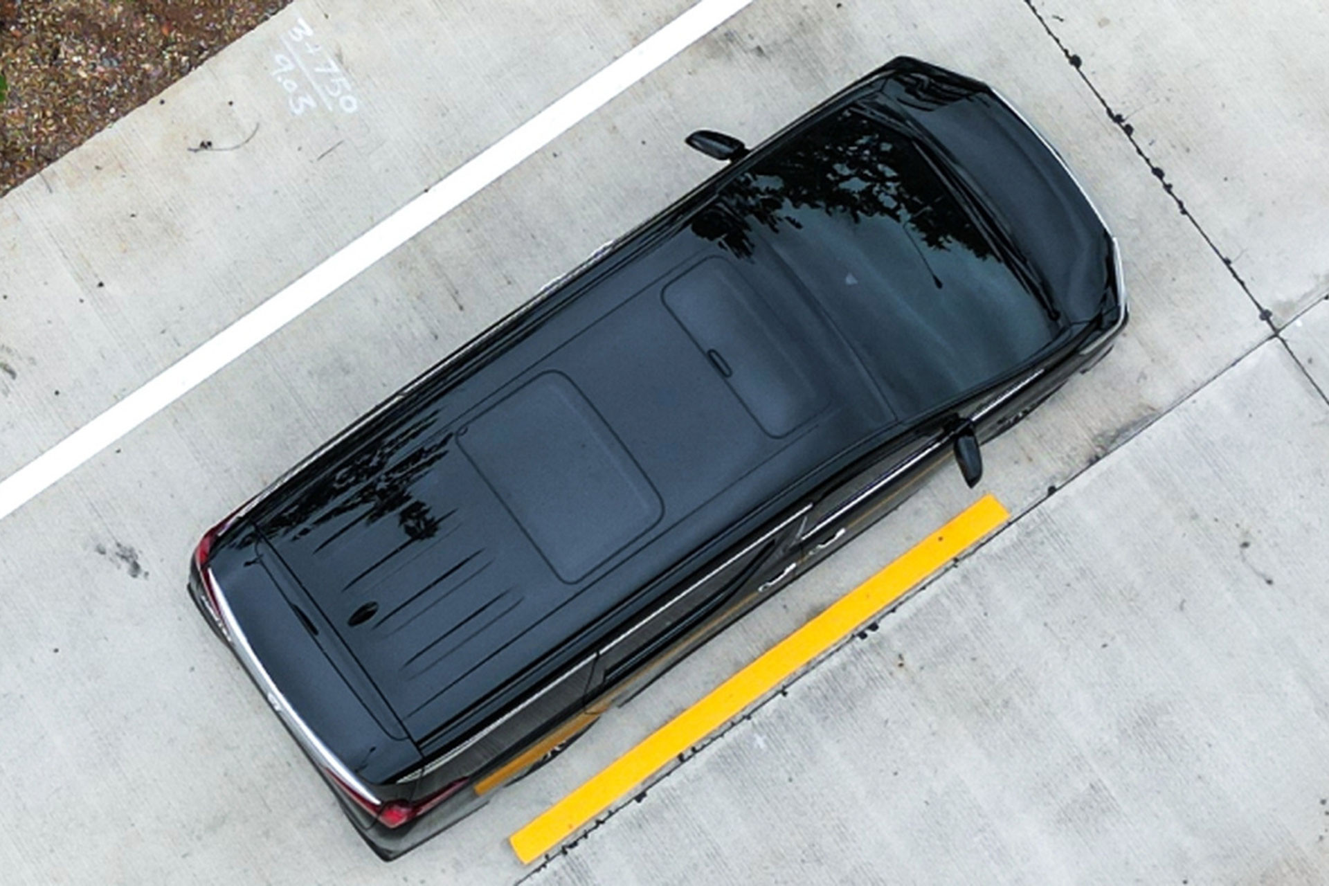 l intro 1737471342.jpg