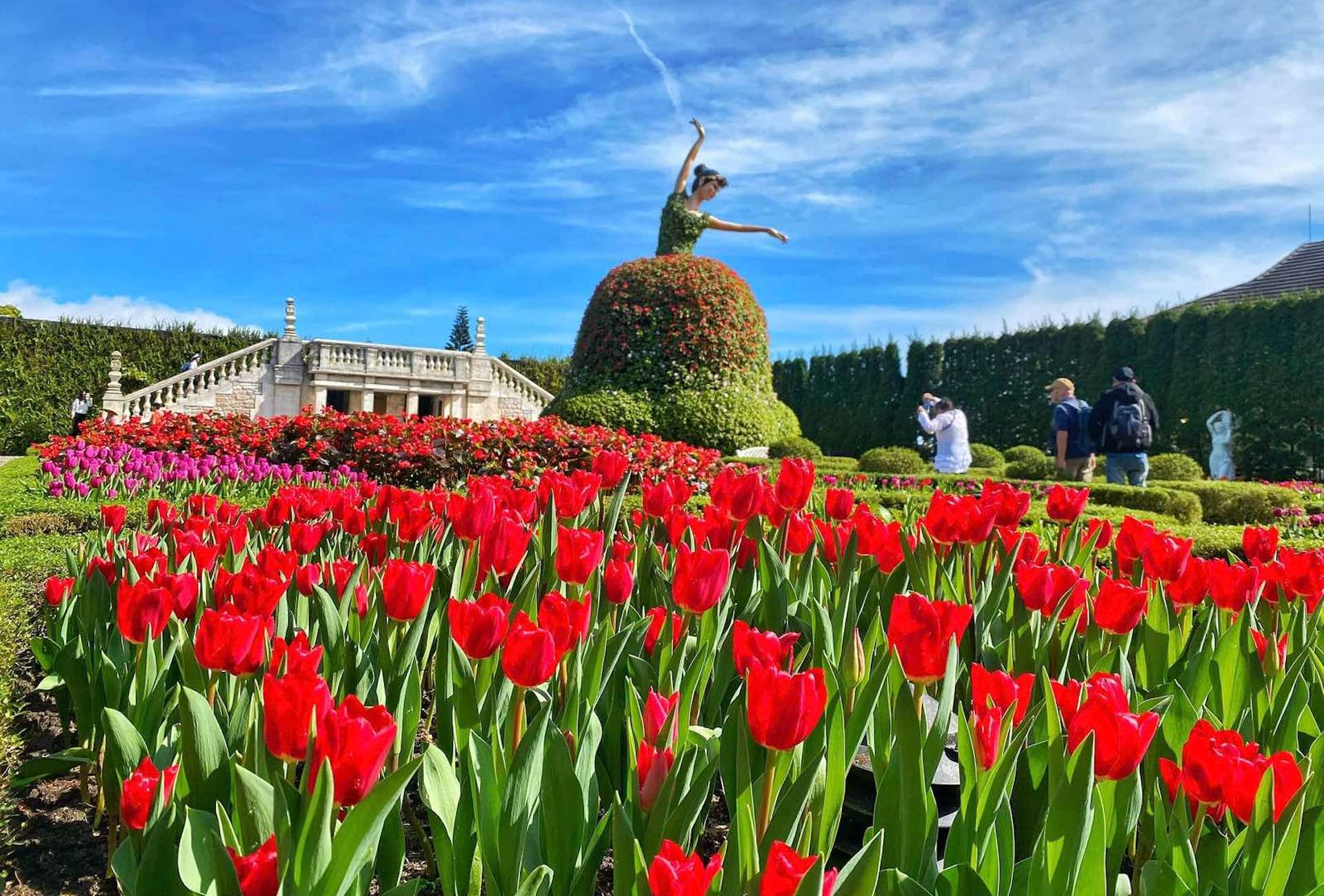 Sun World Ba Na Hills hội tụ gần 400 nghìn bông tulip dịp Tết Ất Tỵ