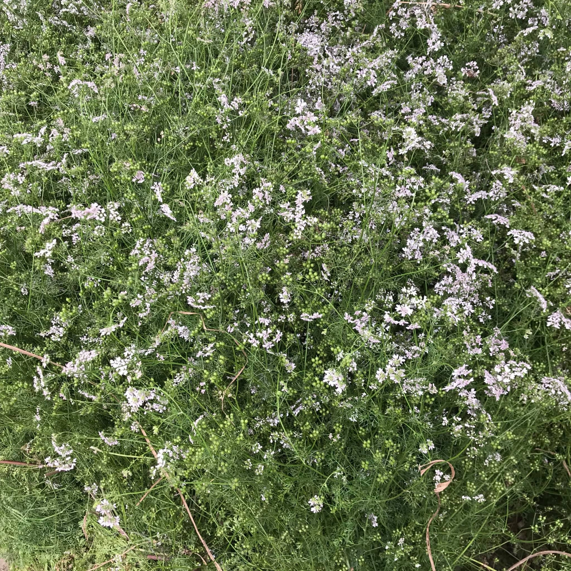 ảnh 1 những việc nên làm ngày tất niên.jpg