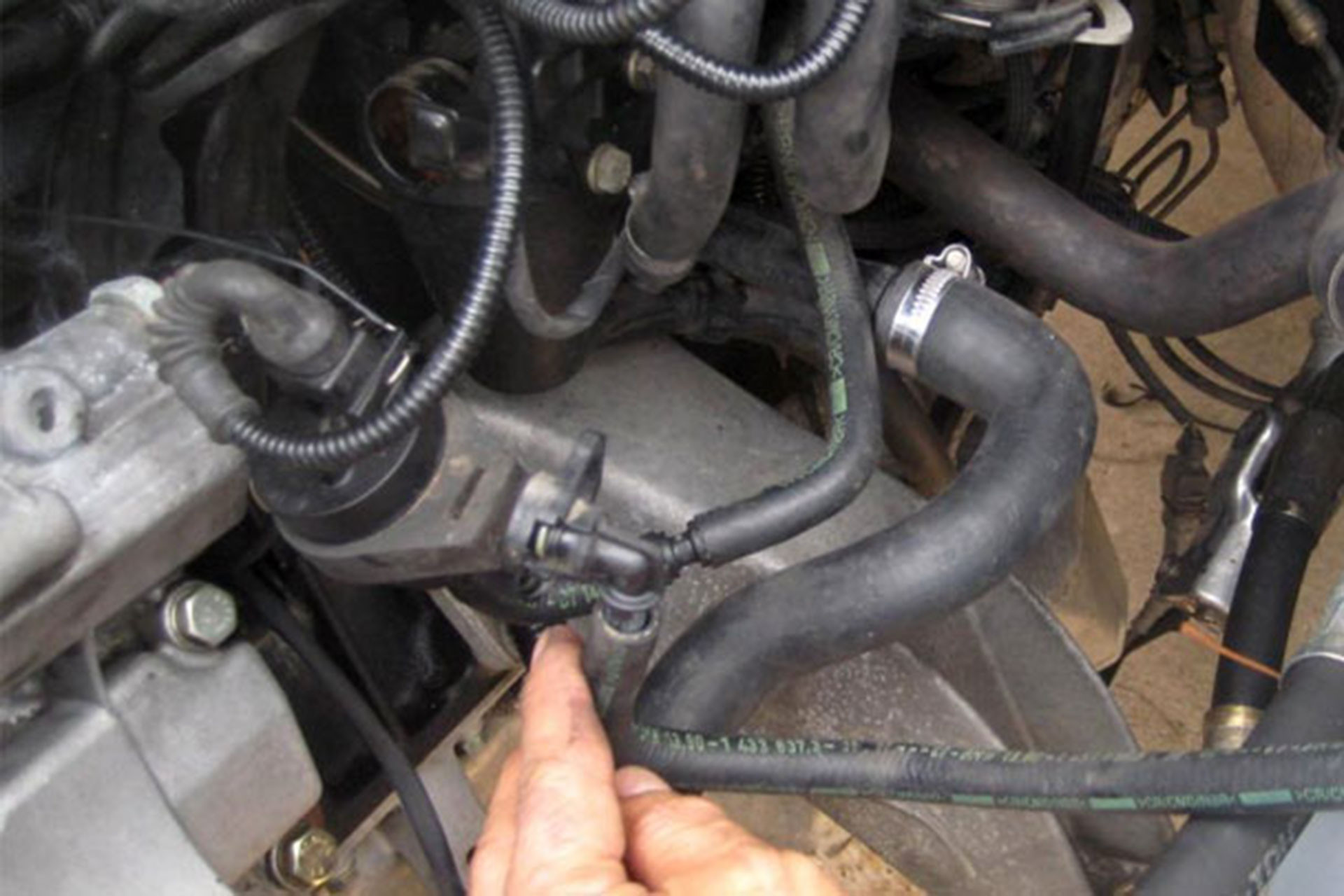 bad vapor canister purge valve.jpg