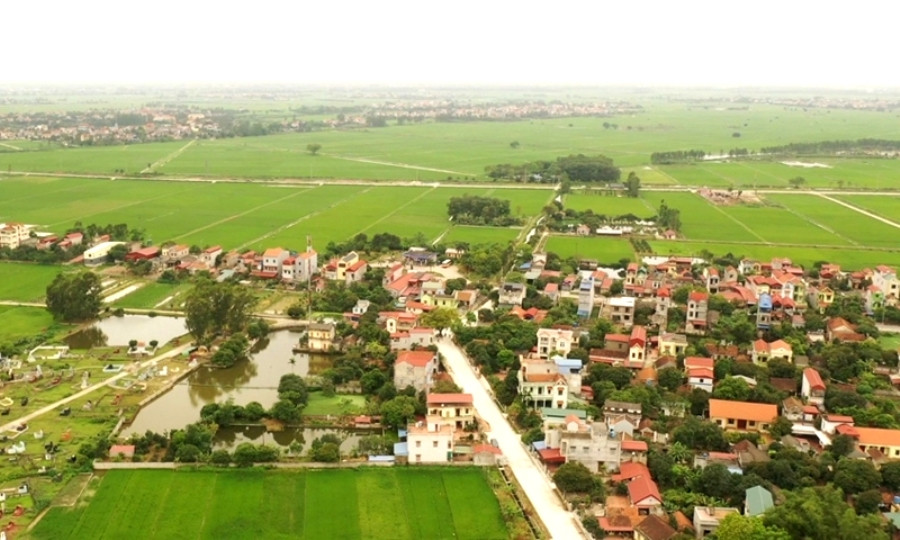 dau gia dat huyen An Thi.jpg