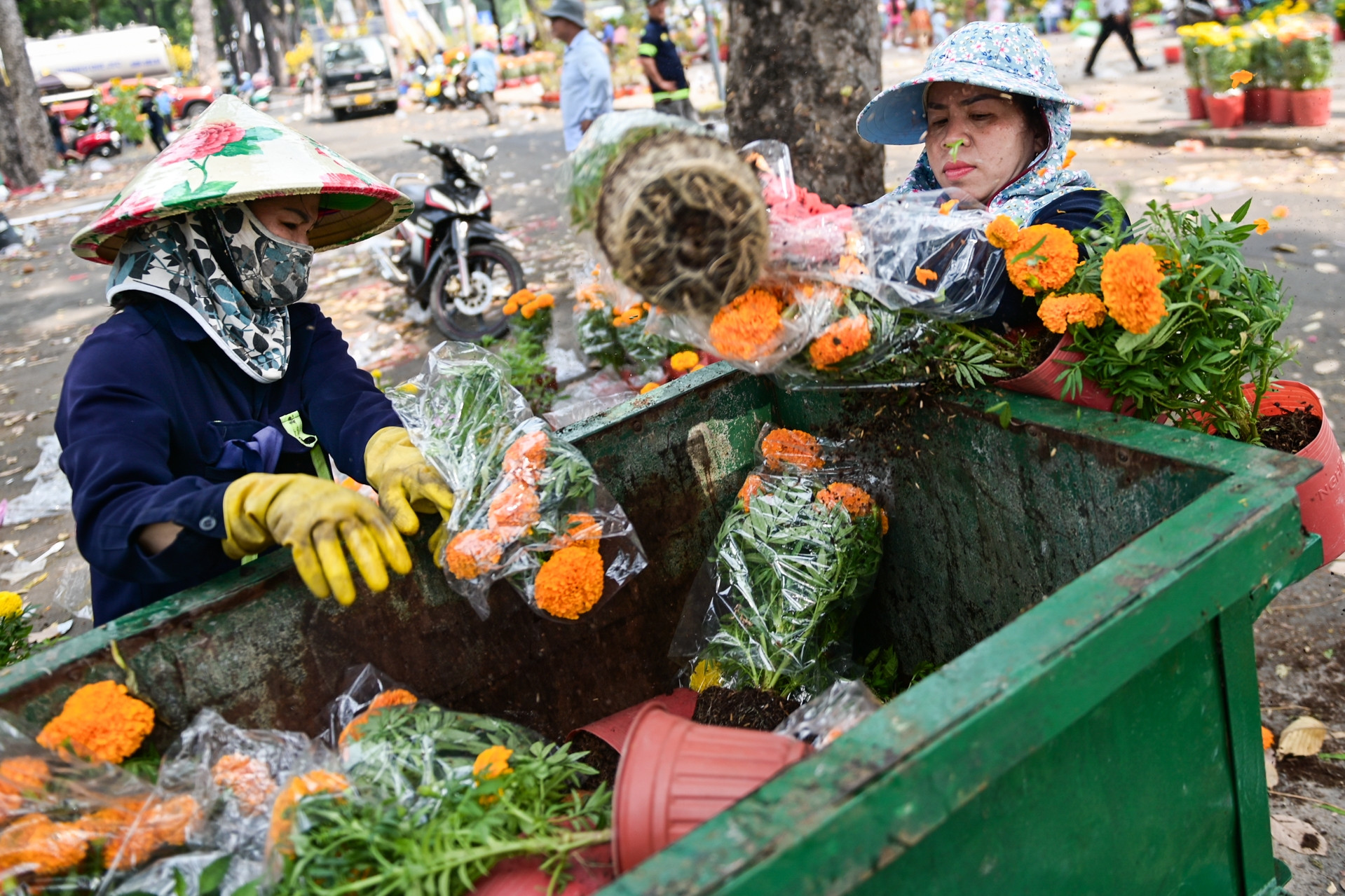 Ngậm ngùi vứt bỏ hoa Tết chiều cuối năm