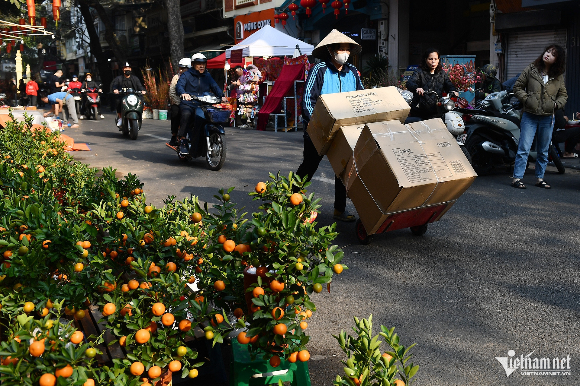 w hang luoc 1jpg 114809.jpg