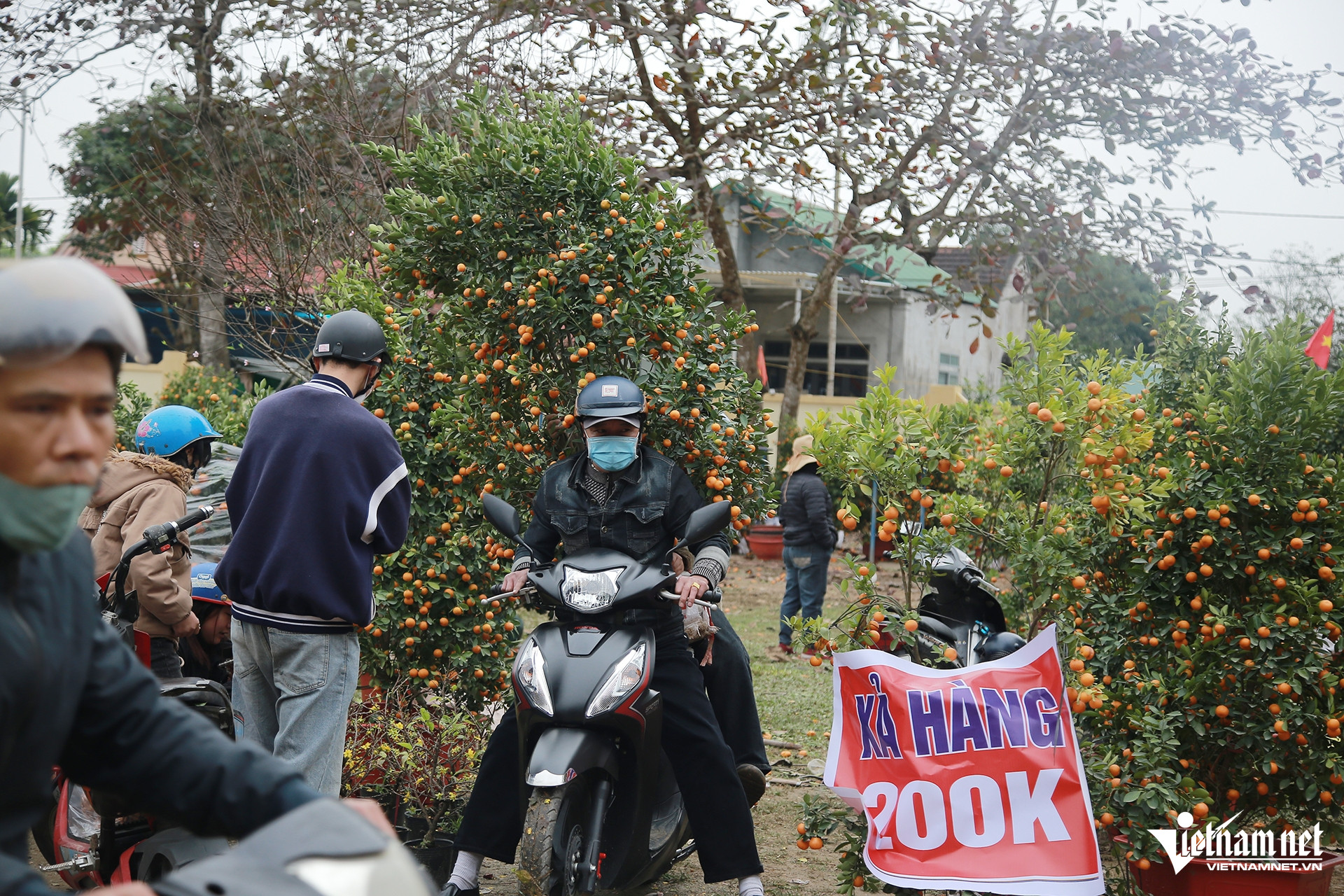 W-Hương Khê cây16.jpg