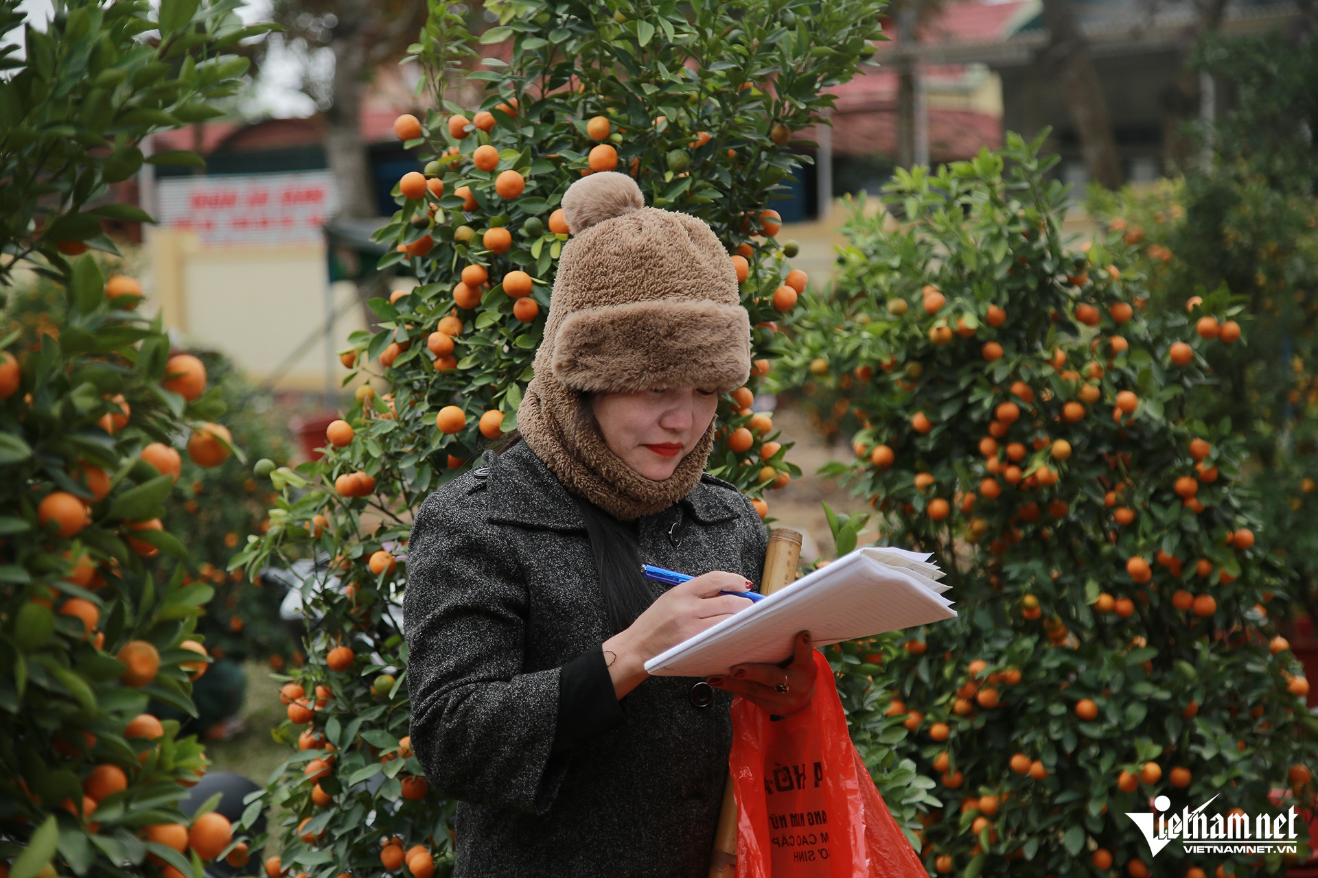 W-Hương Khê cây18.jpg