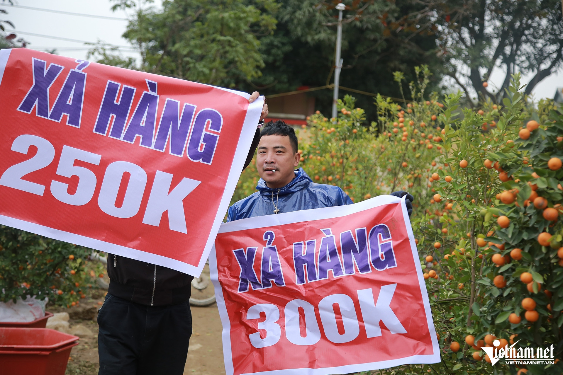 W-Hương Khê cây6.jpg