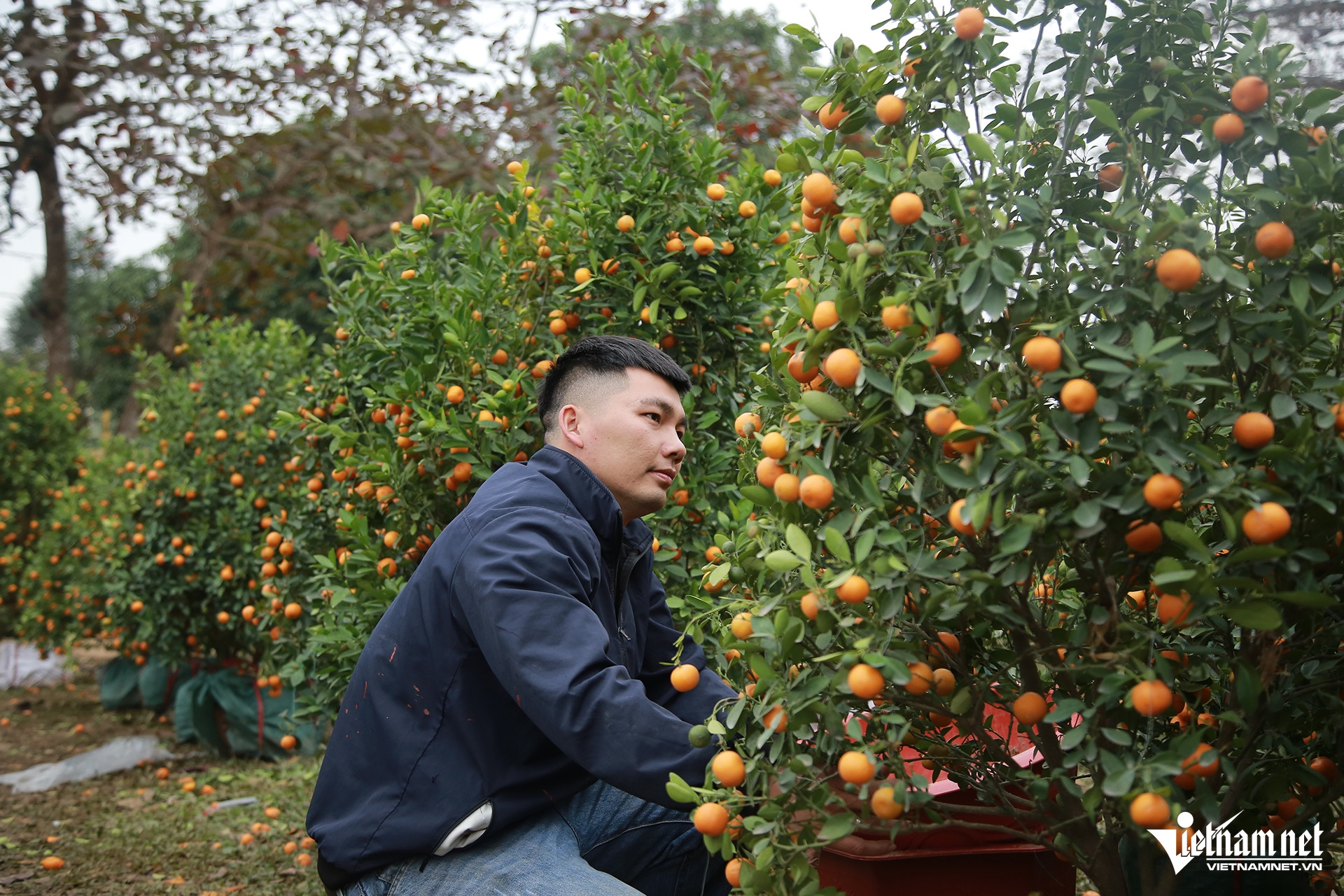 W-Hương Khê cây8.jpg