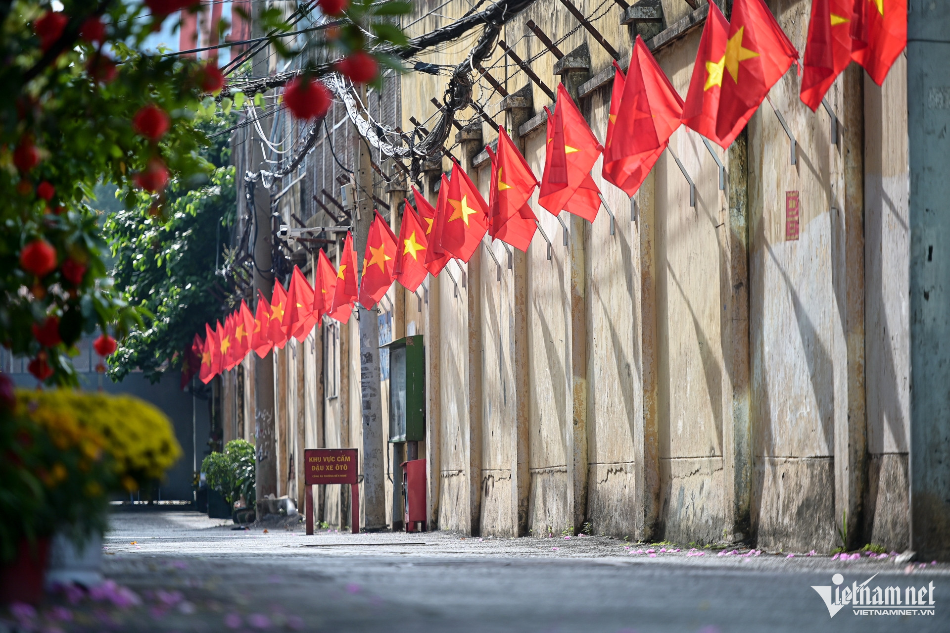 W-tết   nguyễn huế 22.jpg