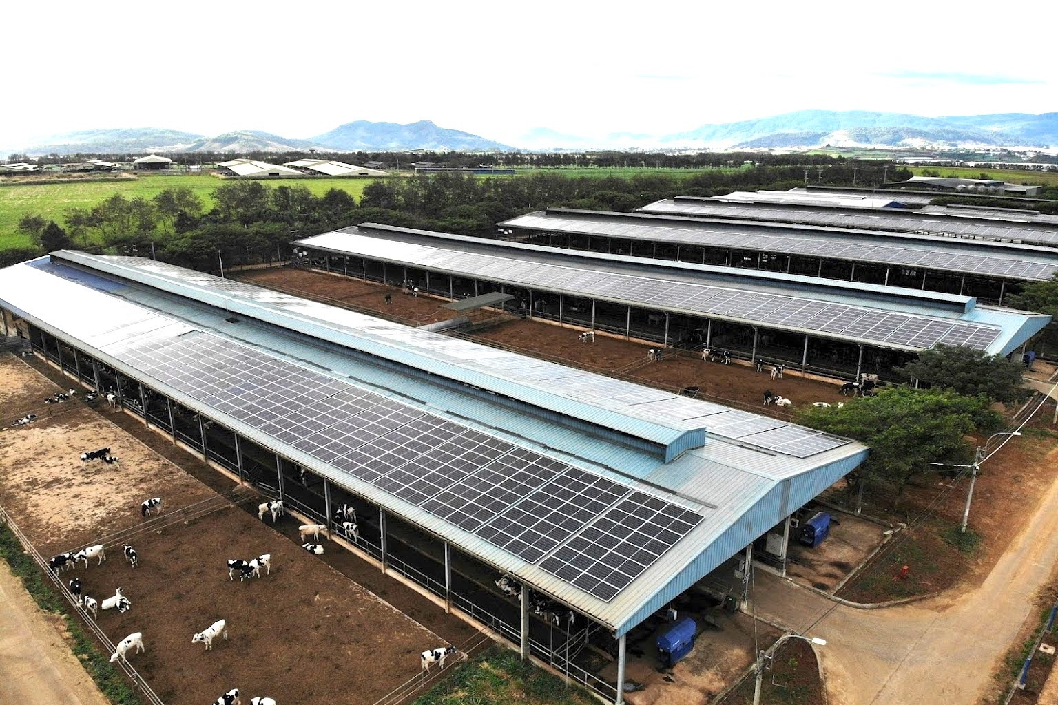 Minh bạch chuỗi cung ứng và sản xuất xanh là chìa khóa cho xuất khẩu bền vững