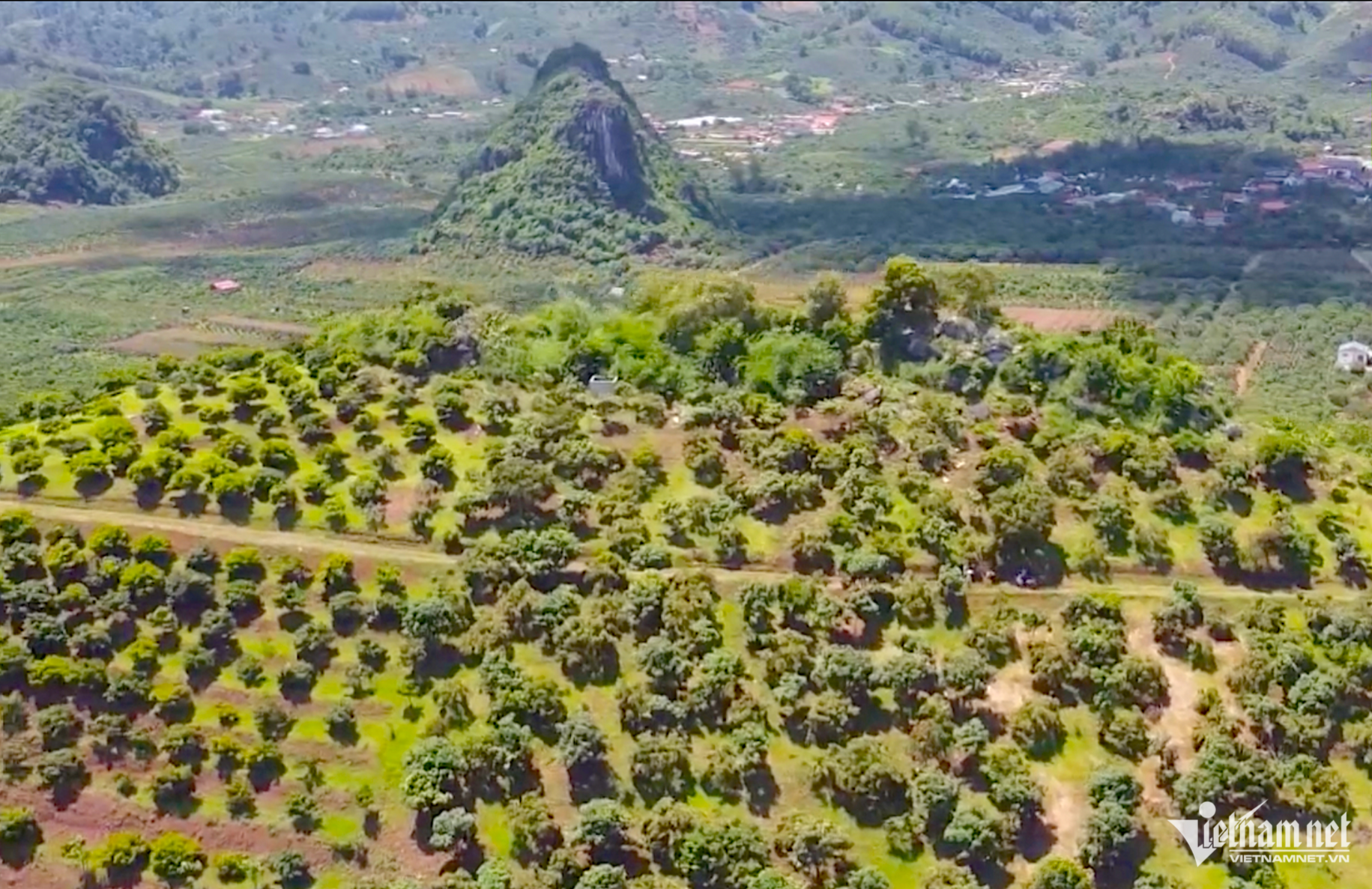 W-Ảnh màn hình 2025 01 03 lúc 16.38.17.png