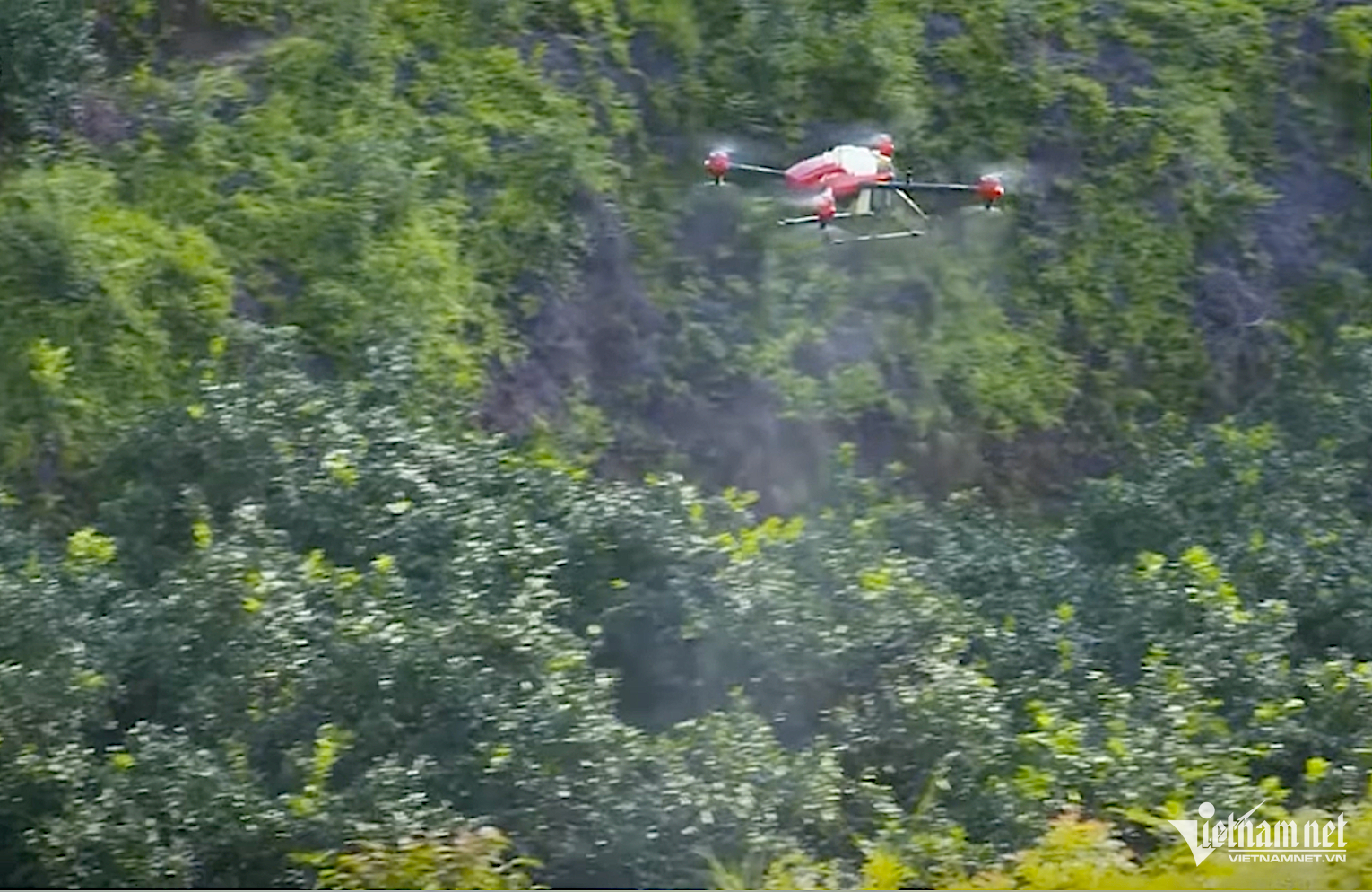 W-ảnh minh hoạ.png