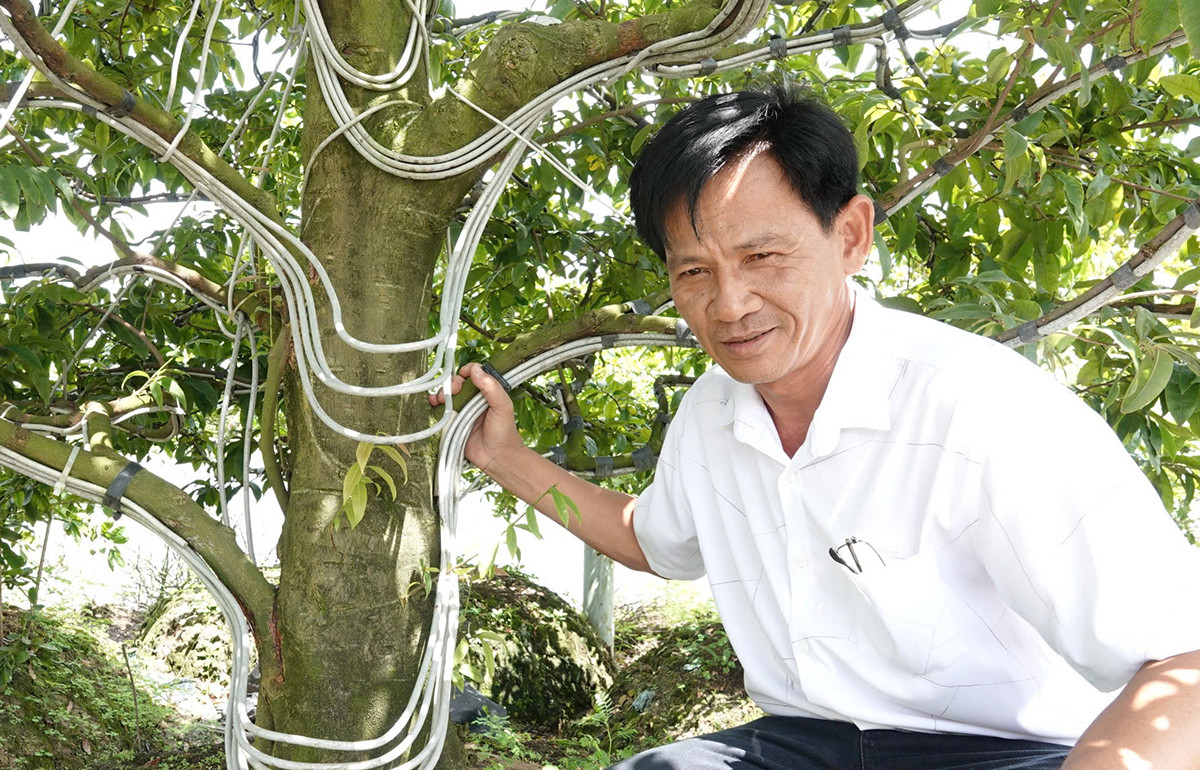 1 Cần Thơ.jpg