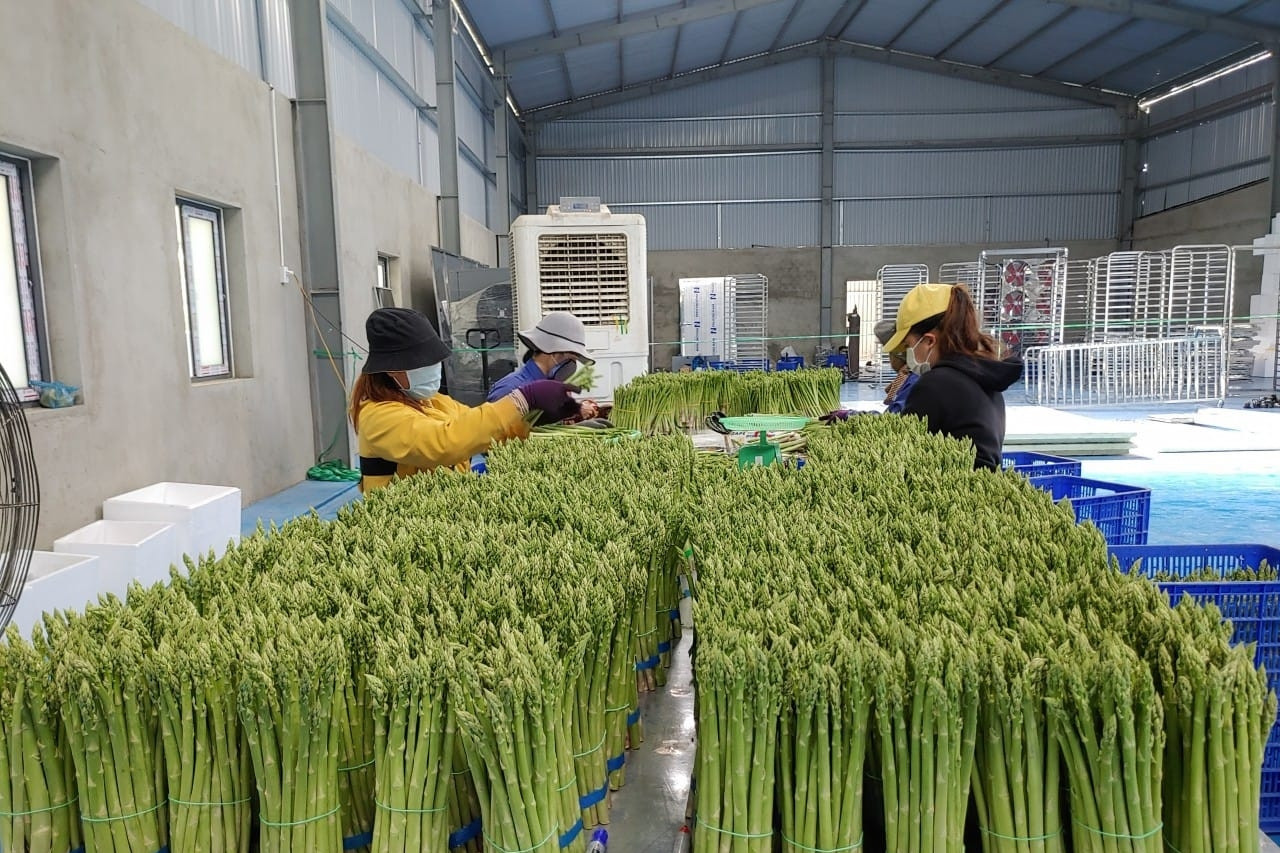 Nông sản Việt Nam có cơ hội lớn nhờ UKVFTA