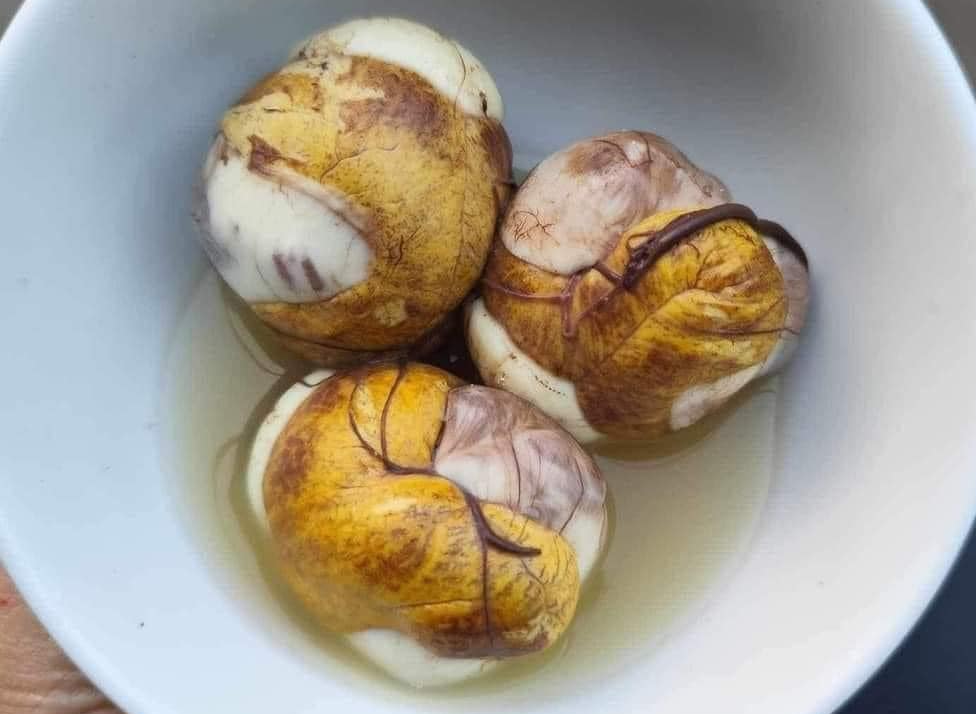 suc khoe trung vit lon.png