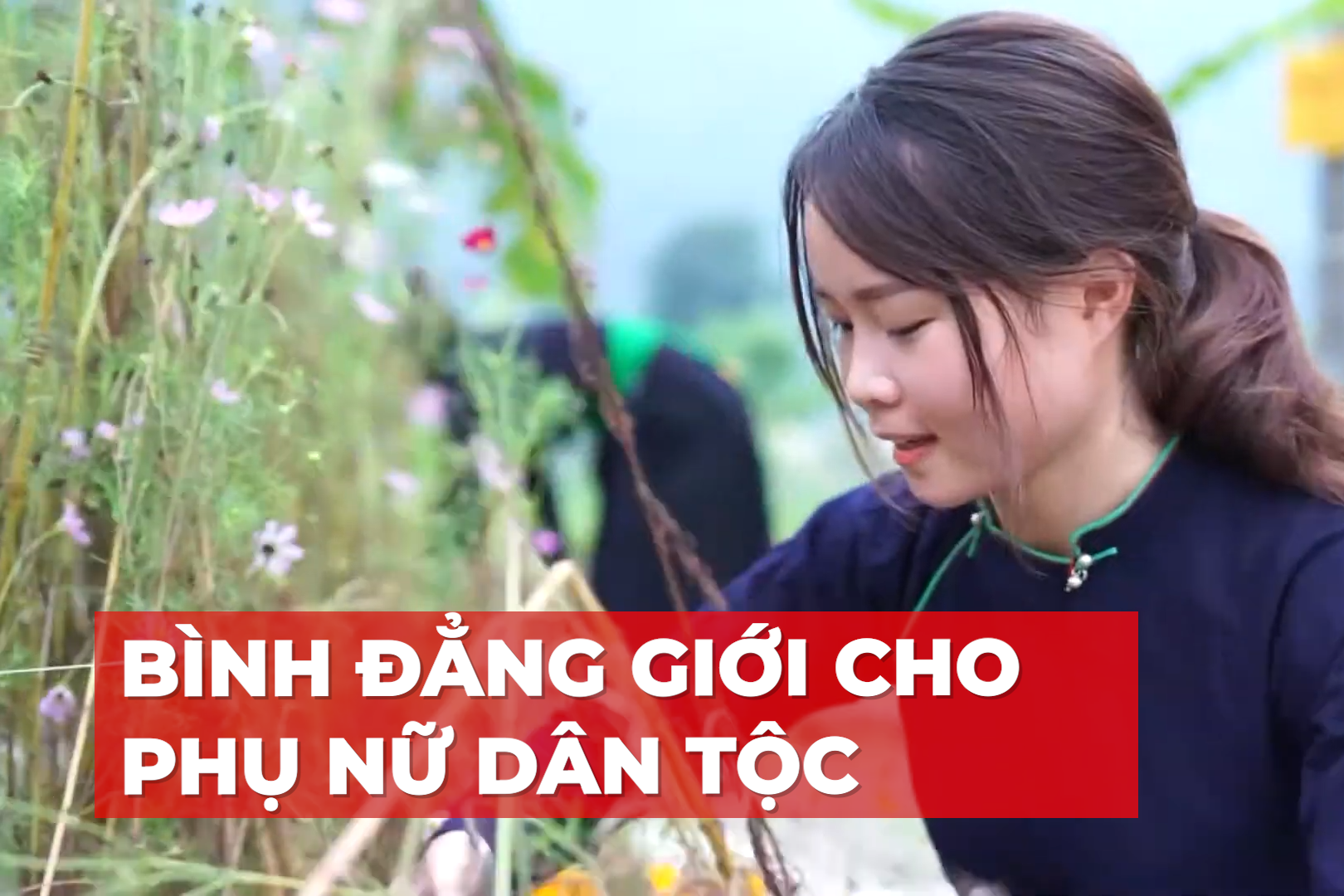 Bình đẳng giới cho phụ nữ dân tộc