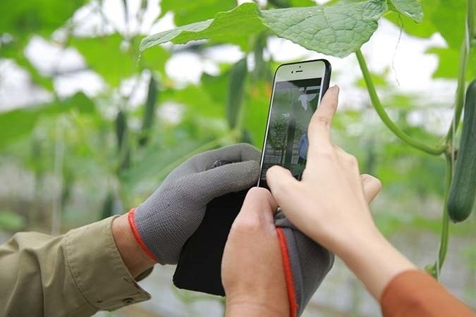 Thực hiện chuyển đổi số trong nông nghiệp phải dựa trên nền tảng dữ liệu