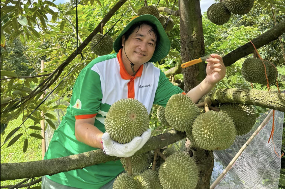 Trung Quốc có ‘siêu công thức’ sầu riêng, Việt Nam thần tốc đua với Thái Lan