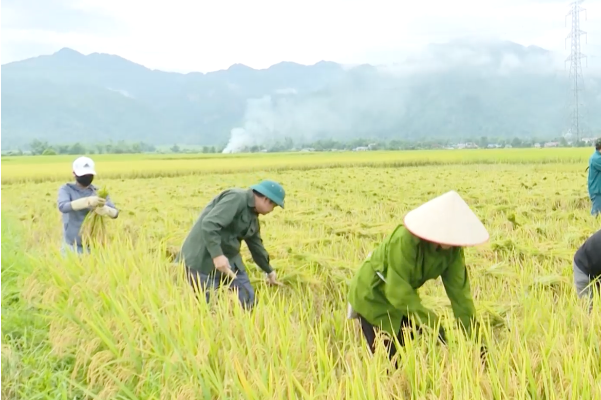 Xây dựng bản đồ số về vùng cây trồng để phục vụ việc quản lý thổ nhưỡng, đất đai